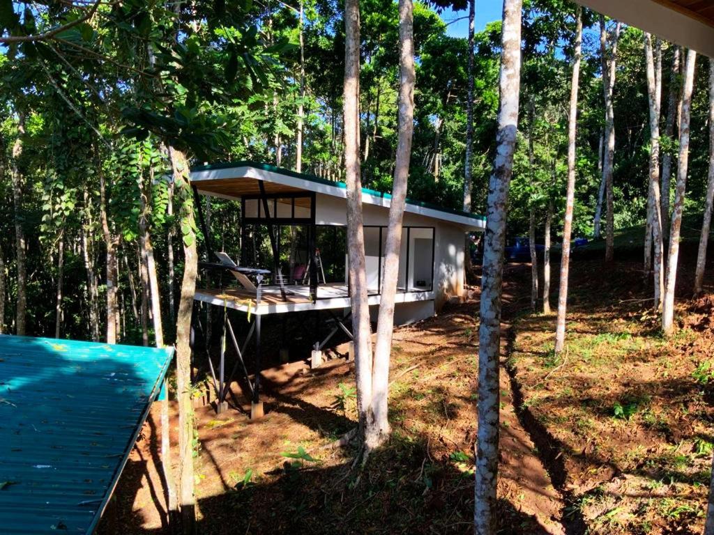 Pandanus Lodge & Retreats