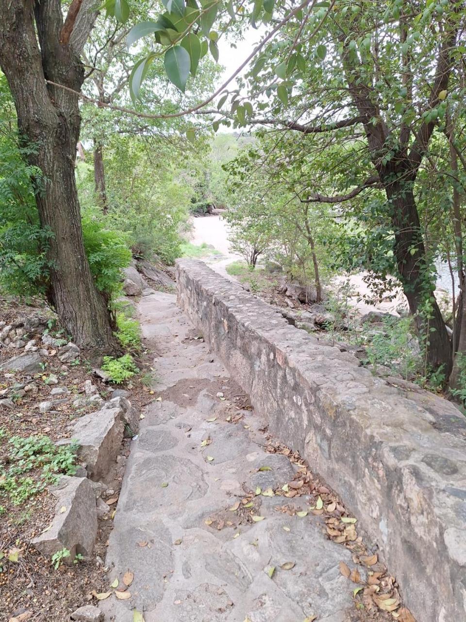Paraíso de Mayú