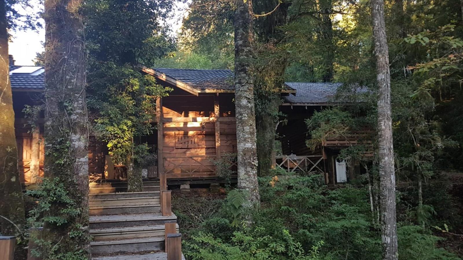 Cabaña del Leñador Los Renovales Huilo Huilo