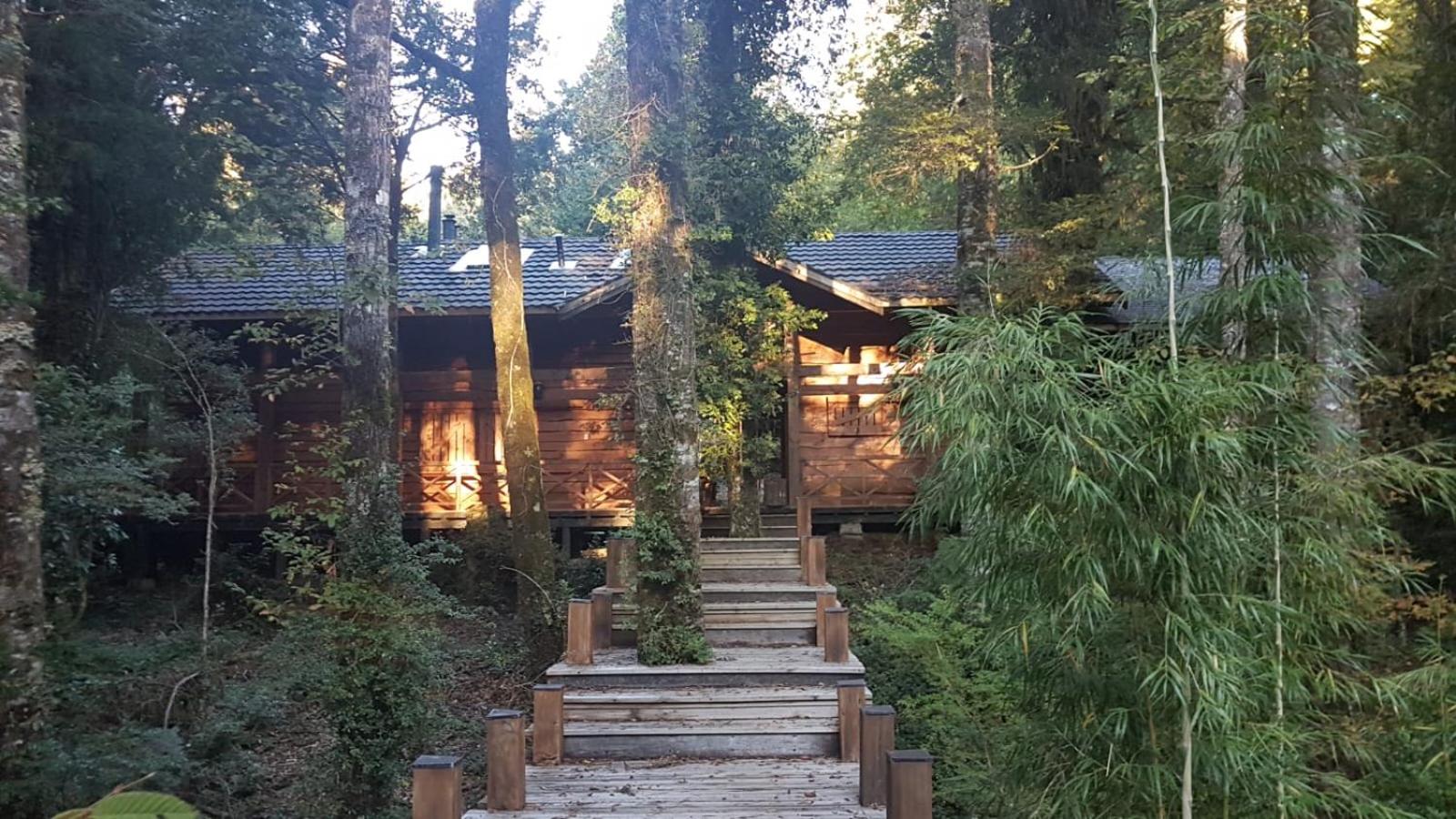 Cabaña del Leñador Los Renovales Huilo Huilo