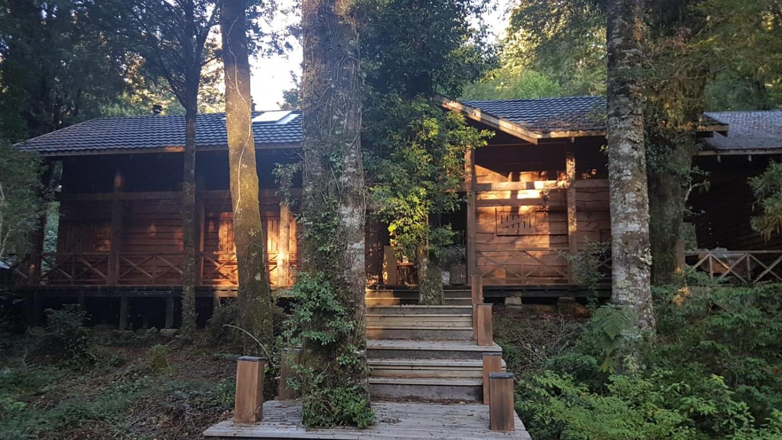 Cabaña del Leñador Los Renovales Huilo Huilo