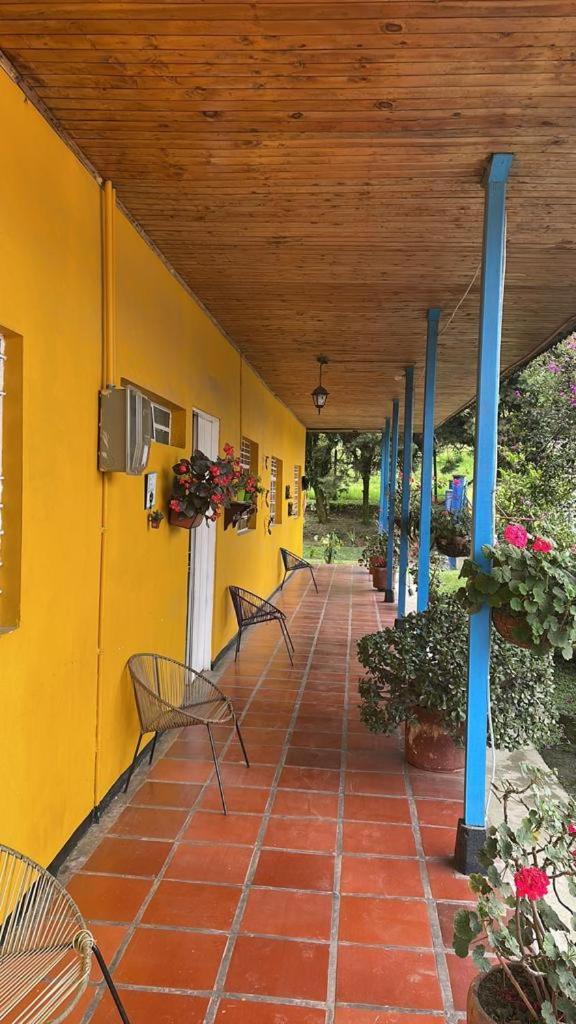 Hostal Campestre Araucarias