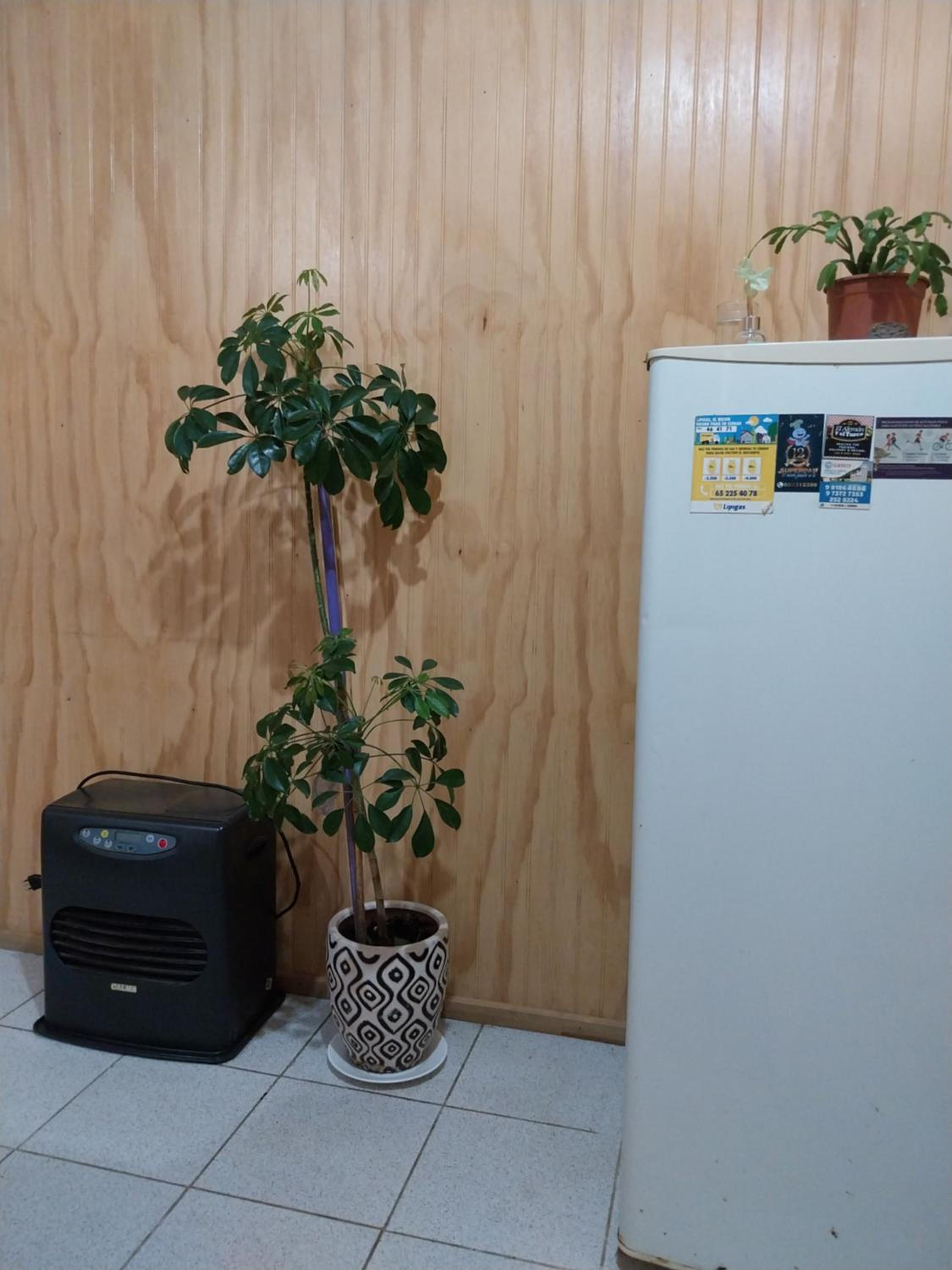ACOGEDOR DEPARTAMENTO