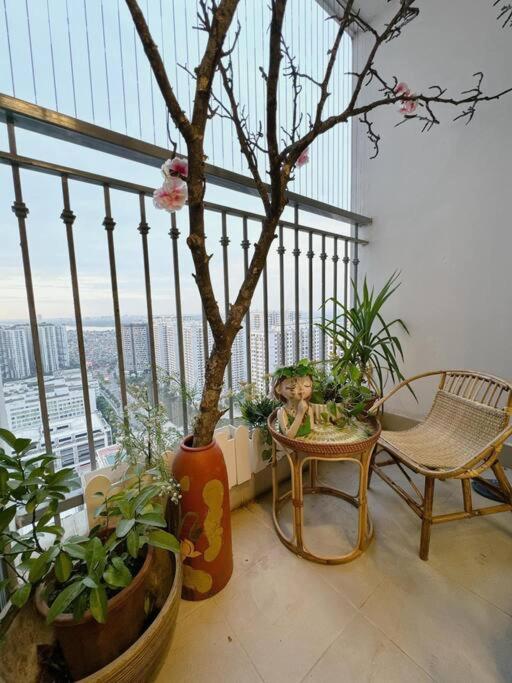 LuxurySunlit/2bed/P10Times