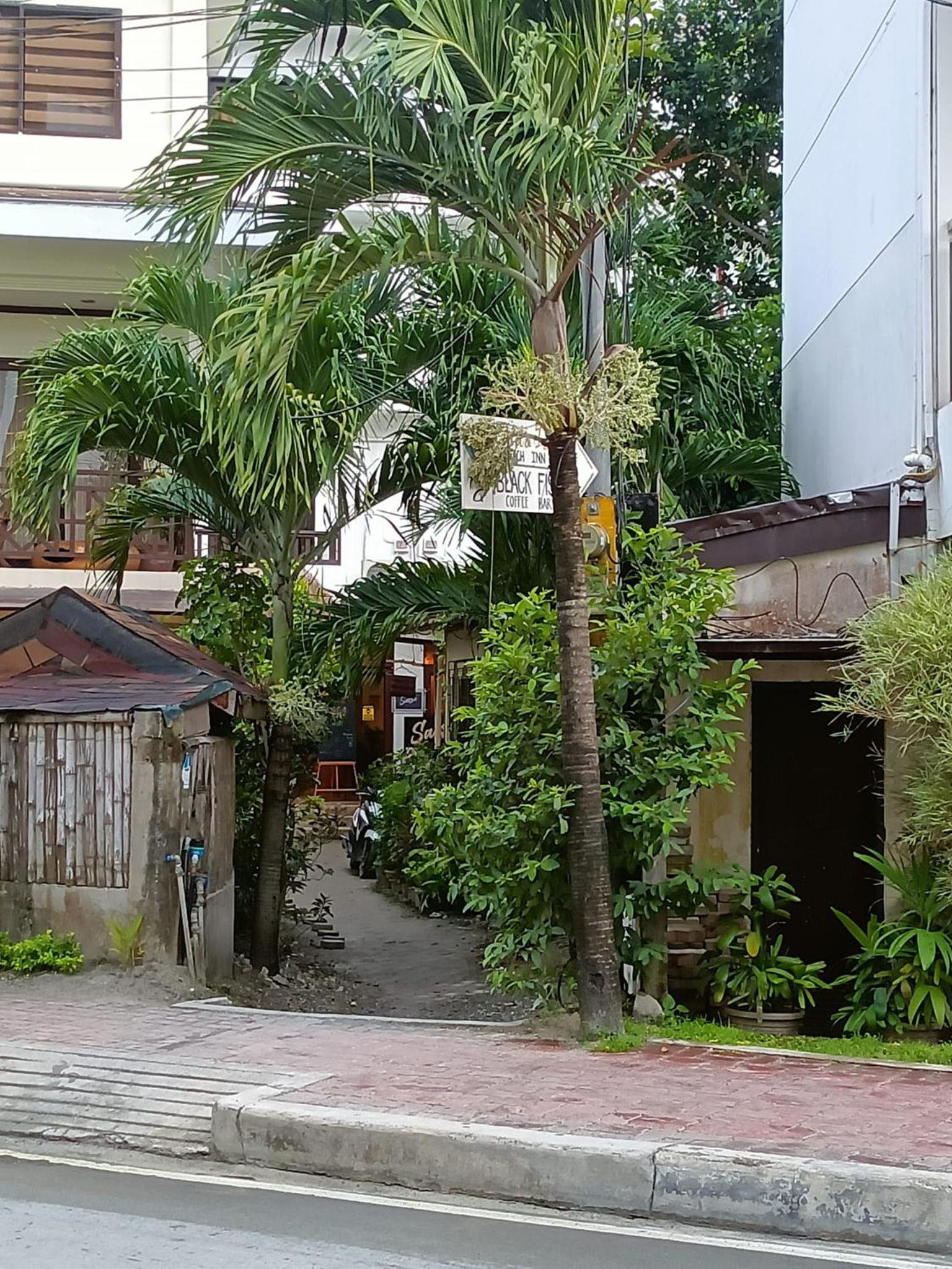 Photo 31