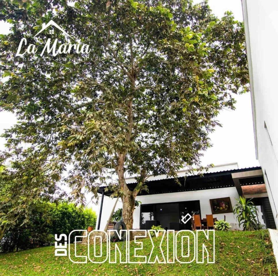 ¡Casa con piscina La María! Días inolvidables