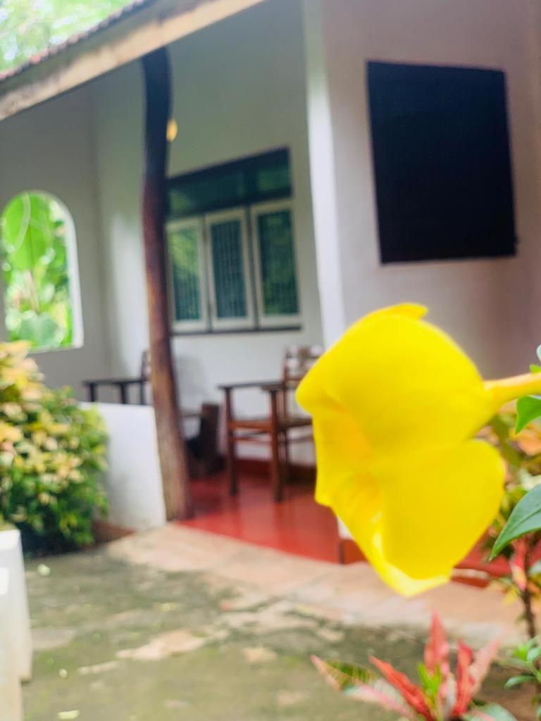 Habarana INN