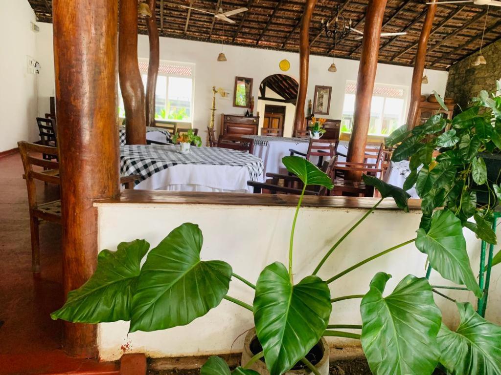 Habarana INN