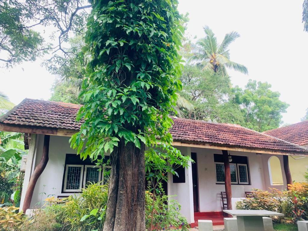 Habarana INN