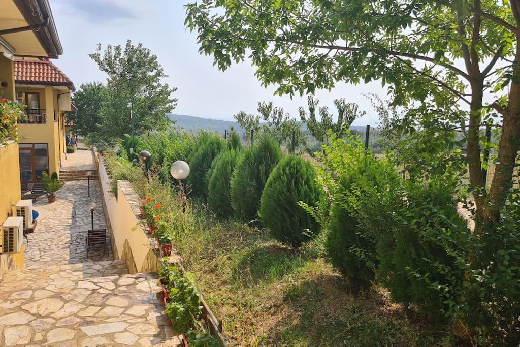 Apartment Oasis A4 Kamchia