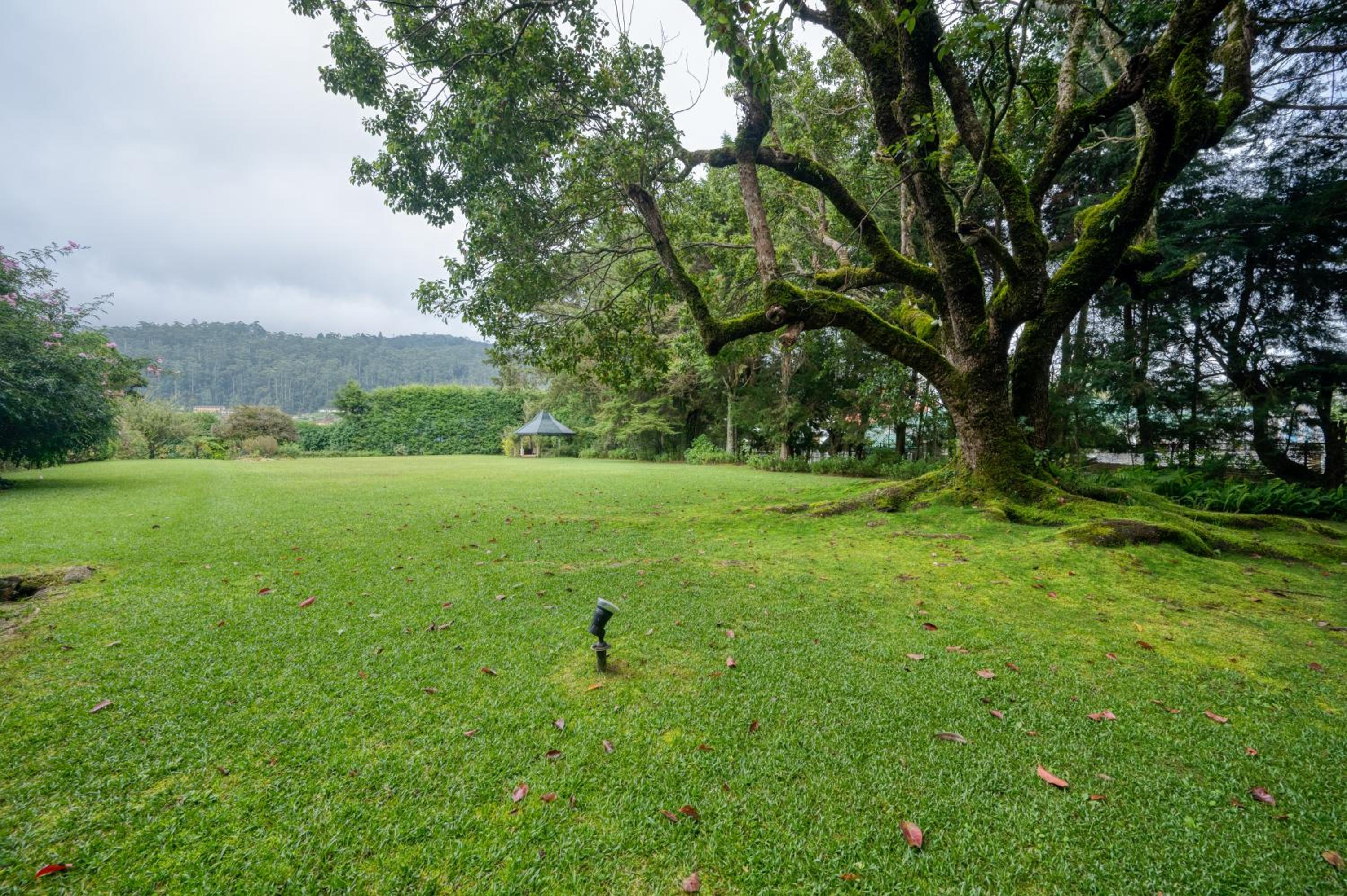 Ferncliff Bungalow view 2
