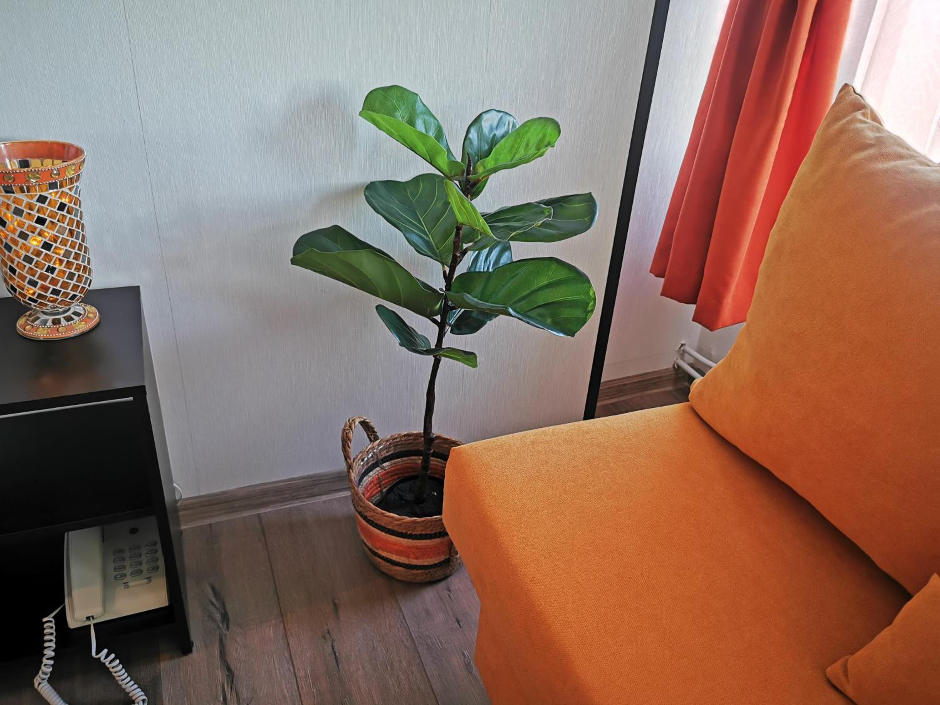 Private Apartments in Hotel Snezhanka