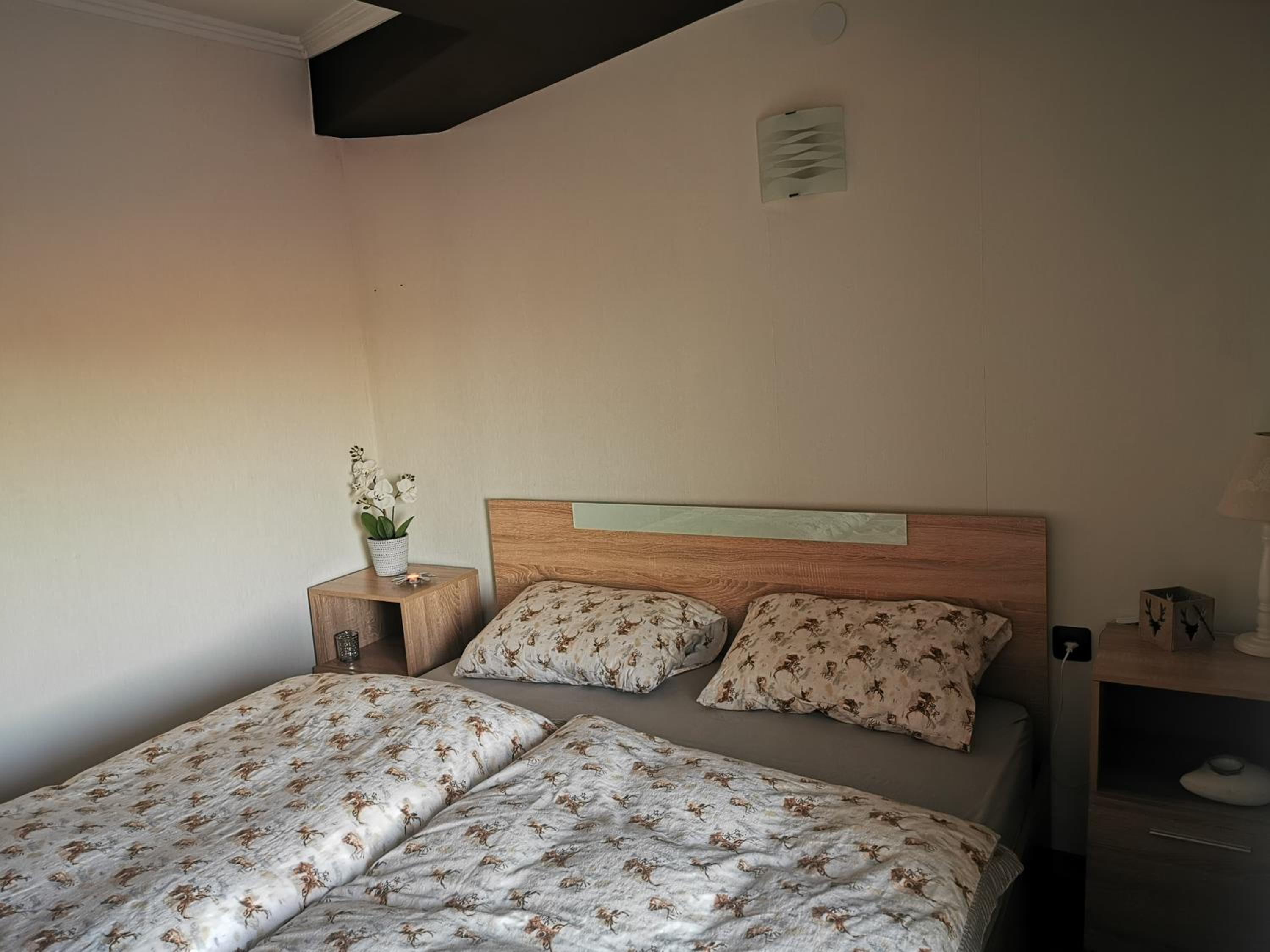 Private Apartments in Hotel Snezhanka