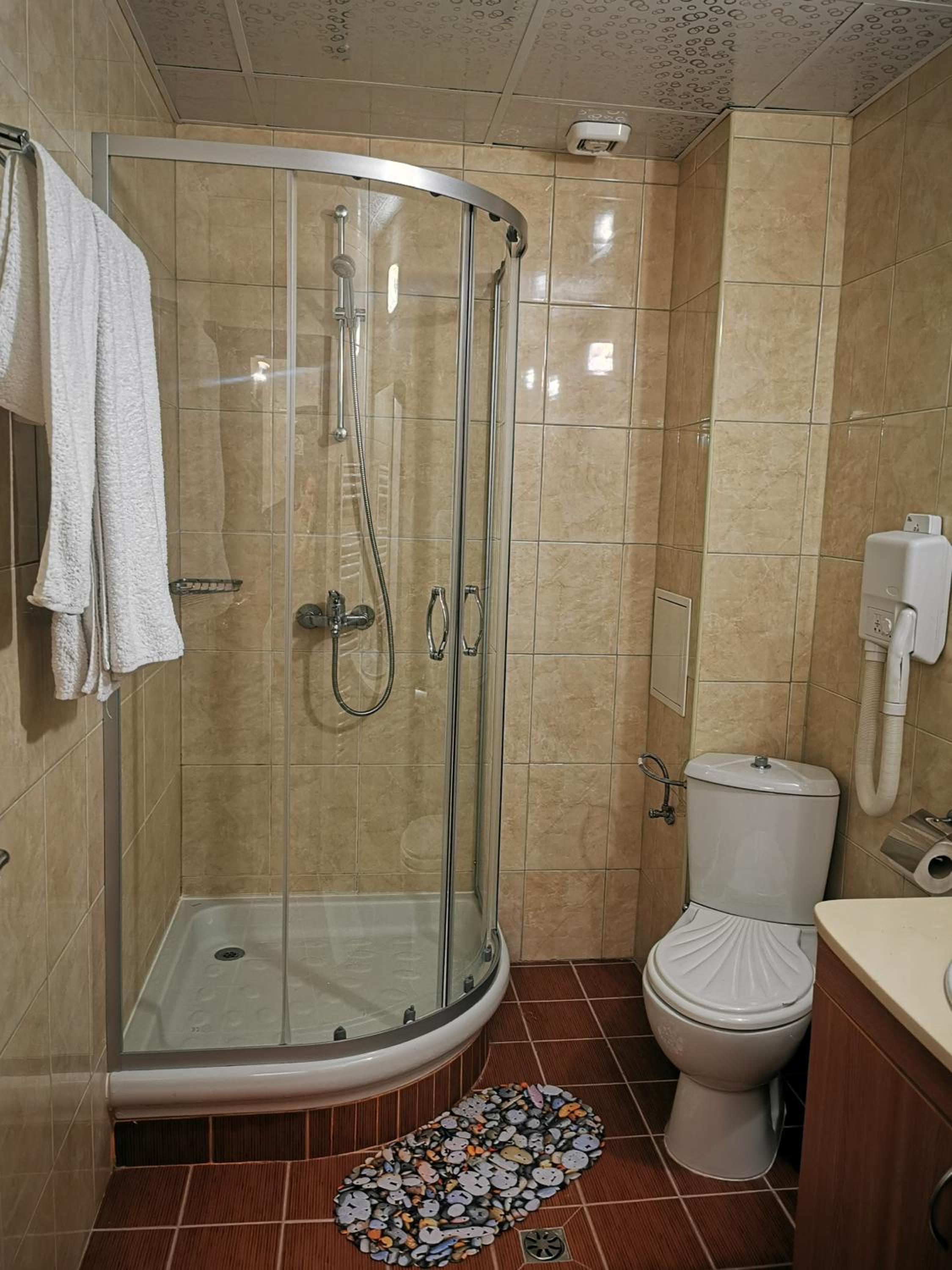 Private Apartments in Hotel Snezhanka