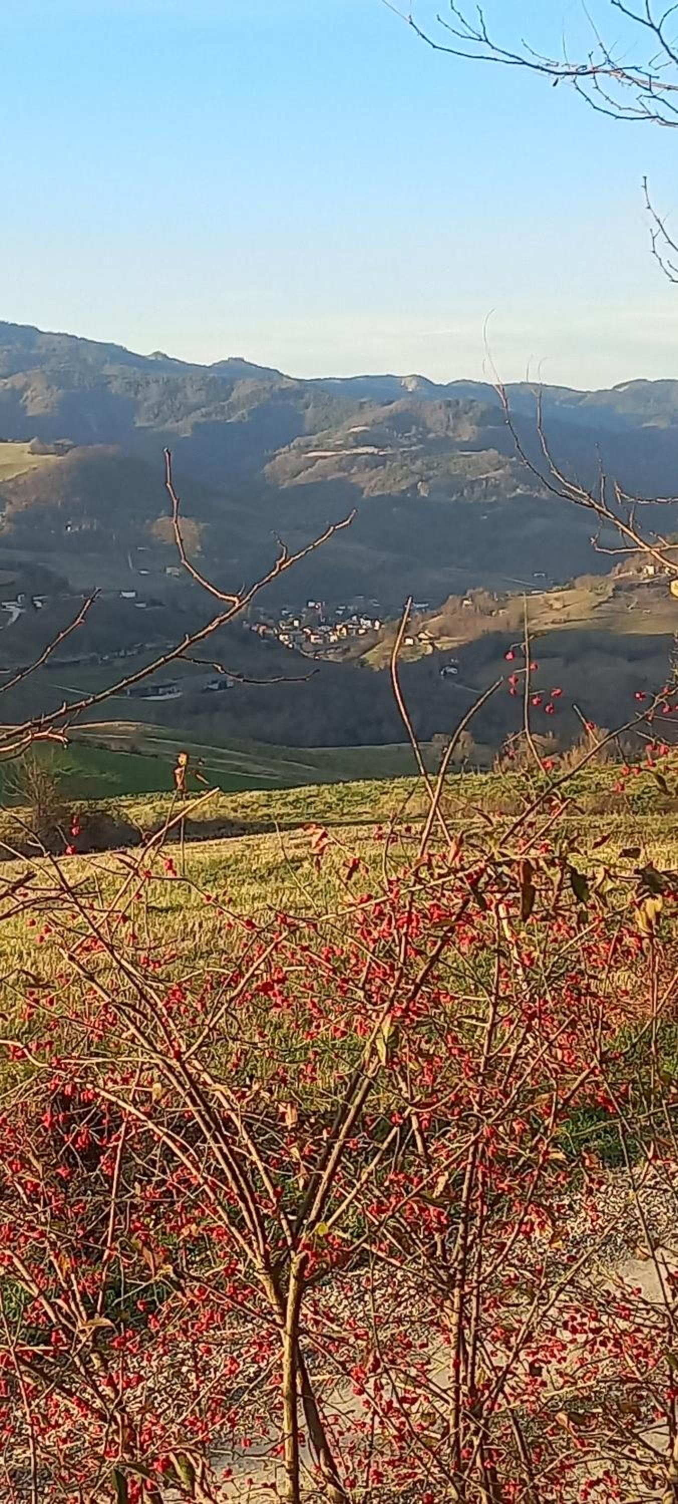 Raggio Campacci di Sacchetti Vanessa view 4
