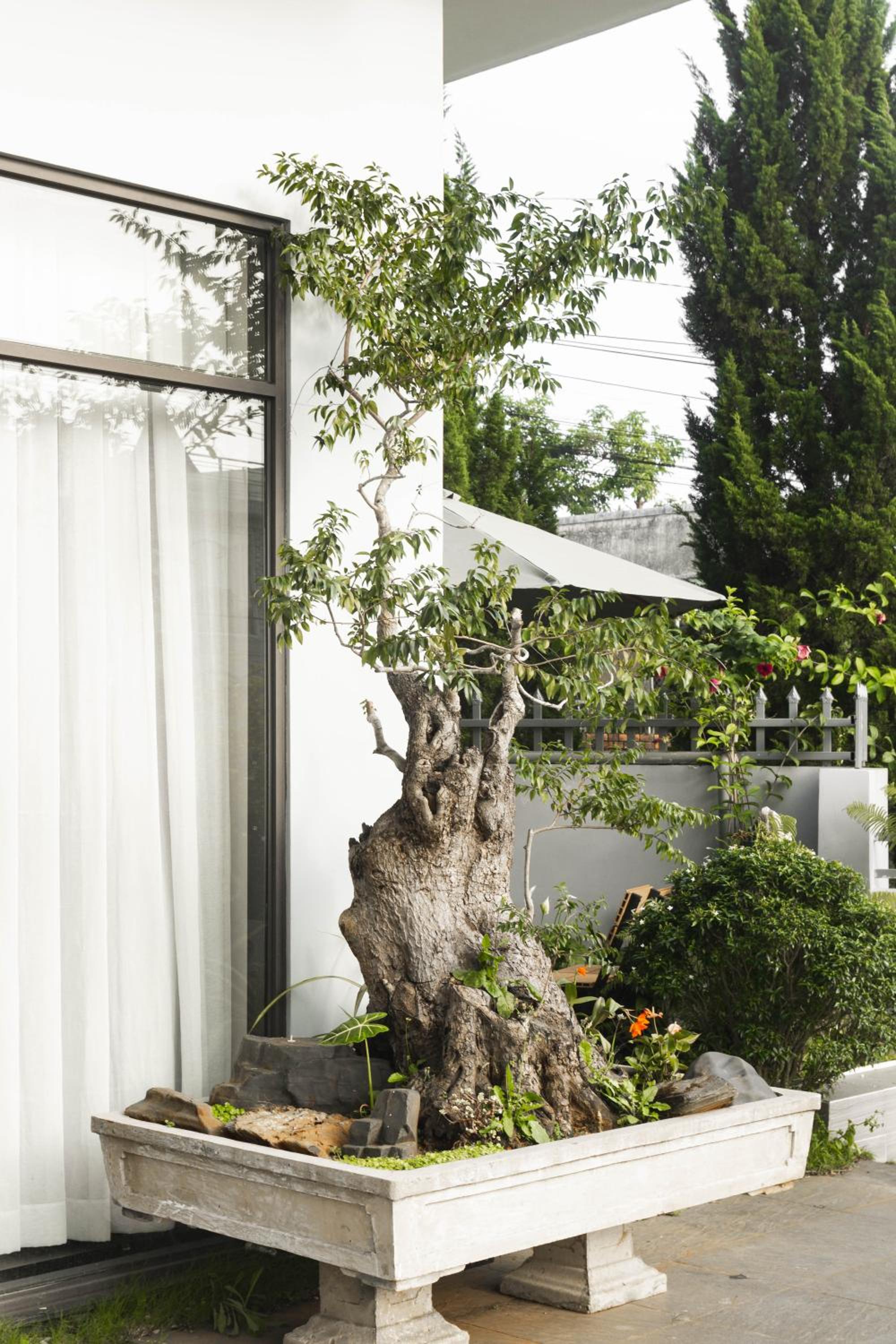 Photo 42