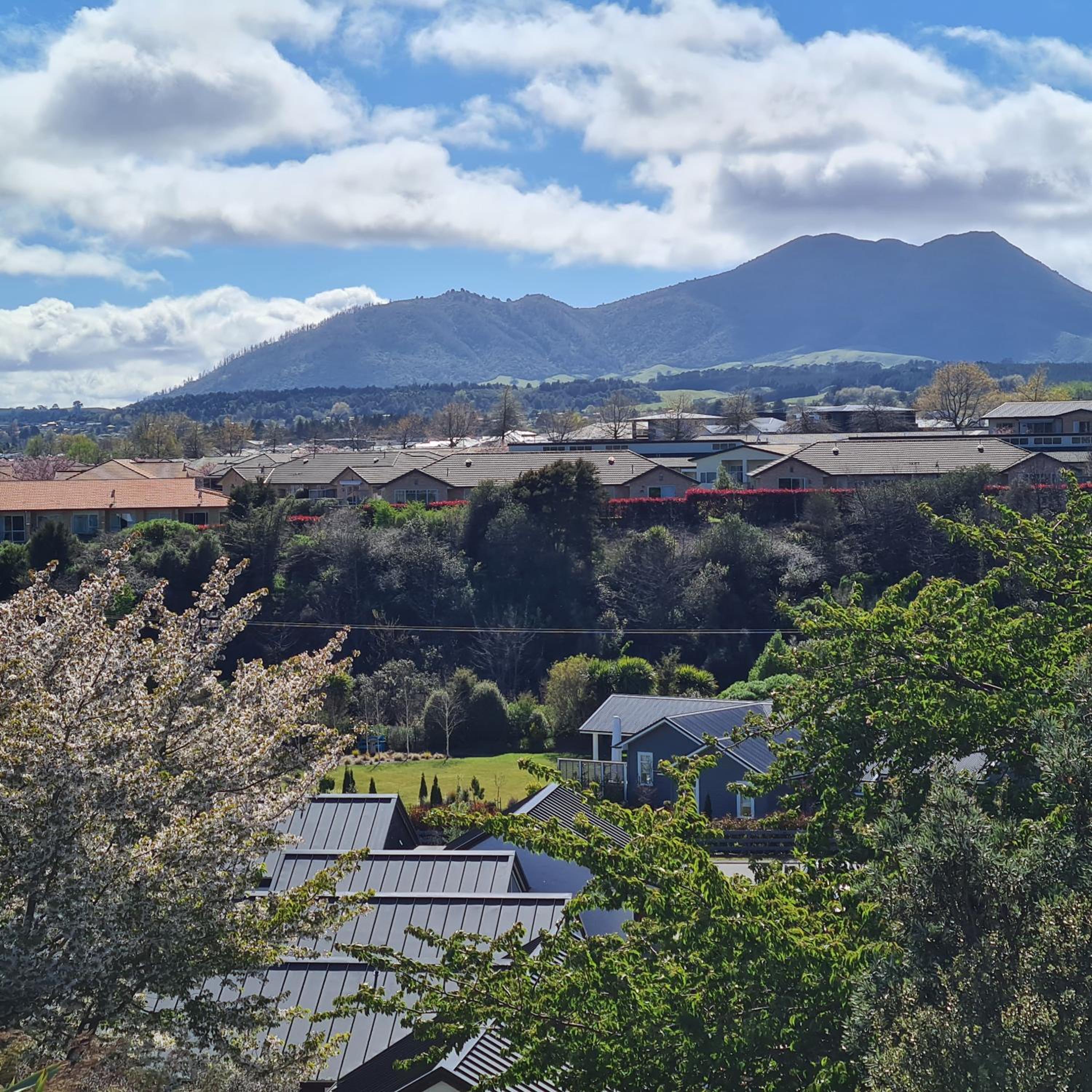 Wharewaka Haven