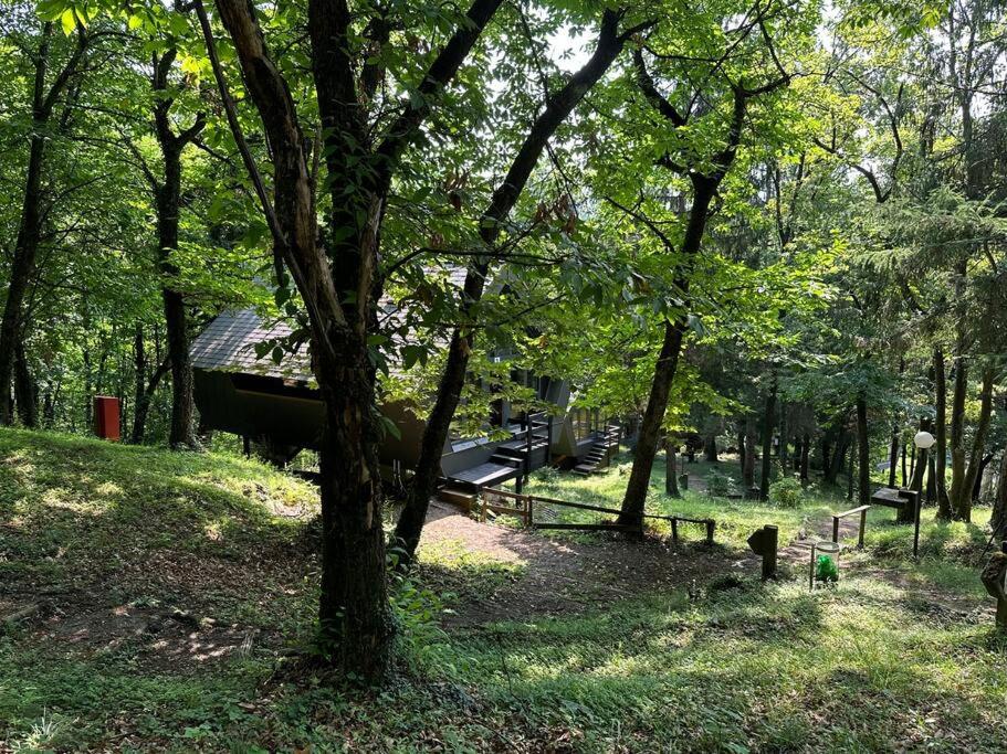 Malcantone/Tessin, Bosco della Bella, Casetta 15