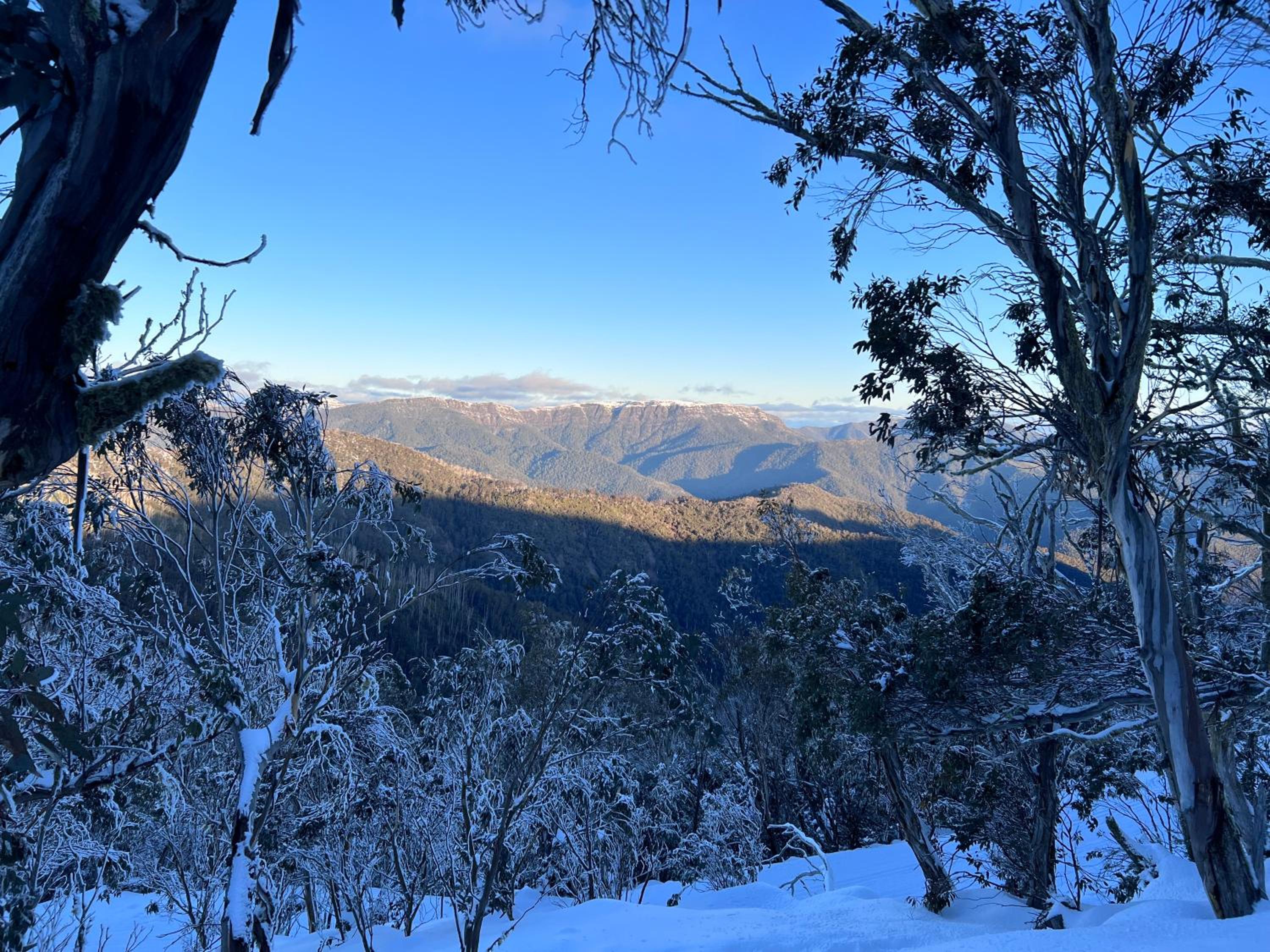 Schuss Alpine Club, Mt Buller