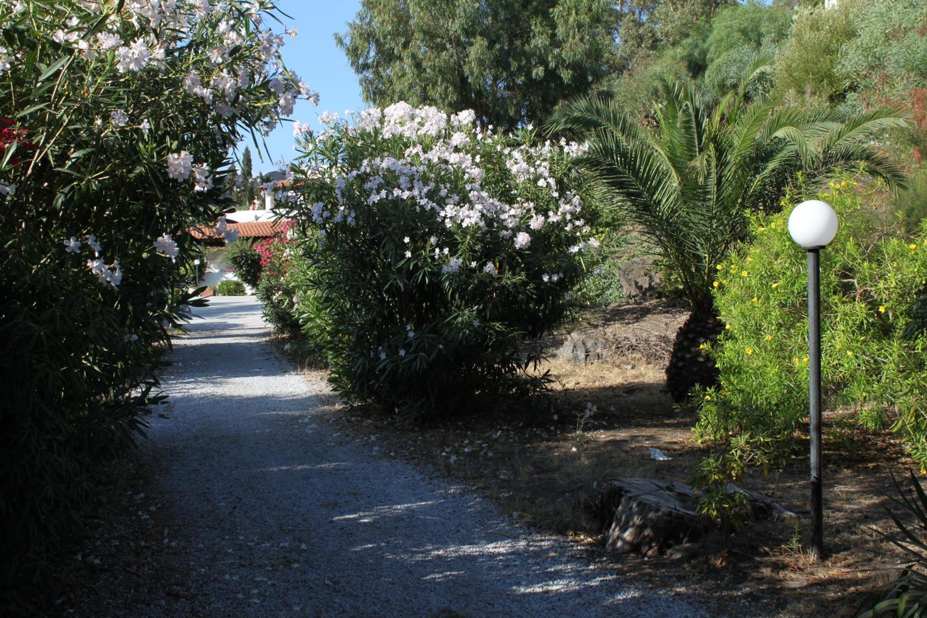 Photo 30