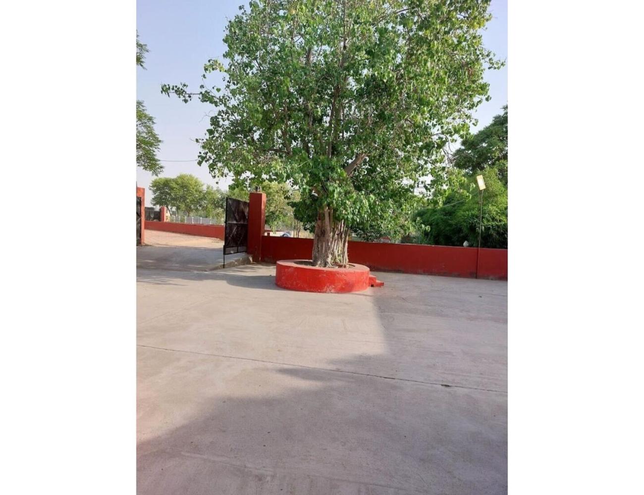 Virasat Haweli, Mannavala, Punjab view 4
