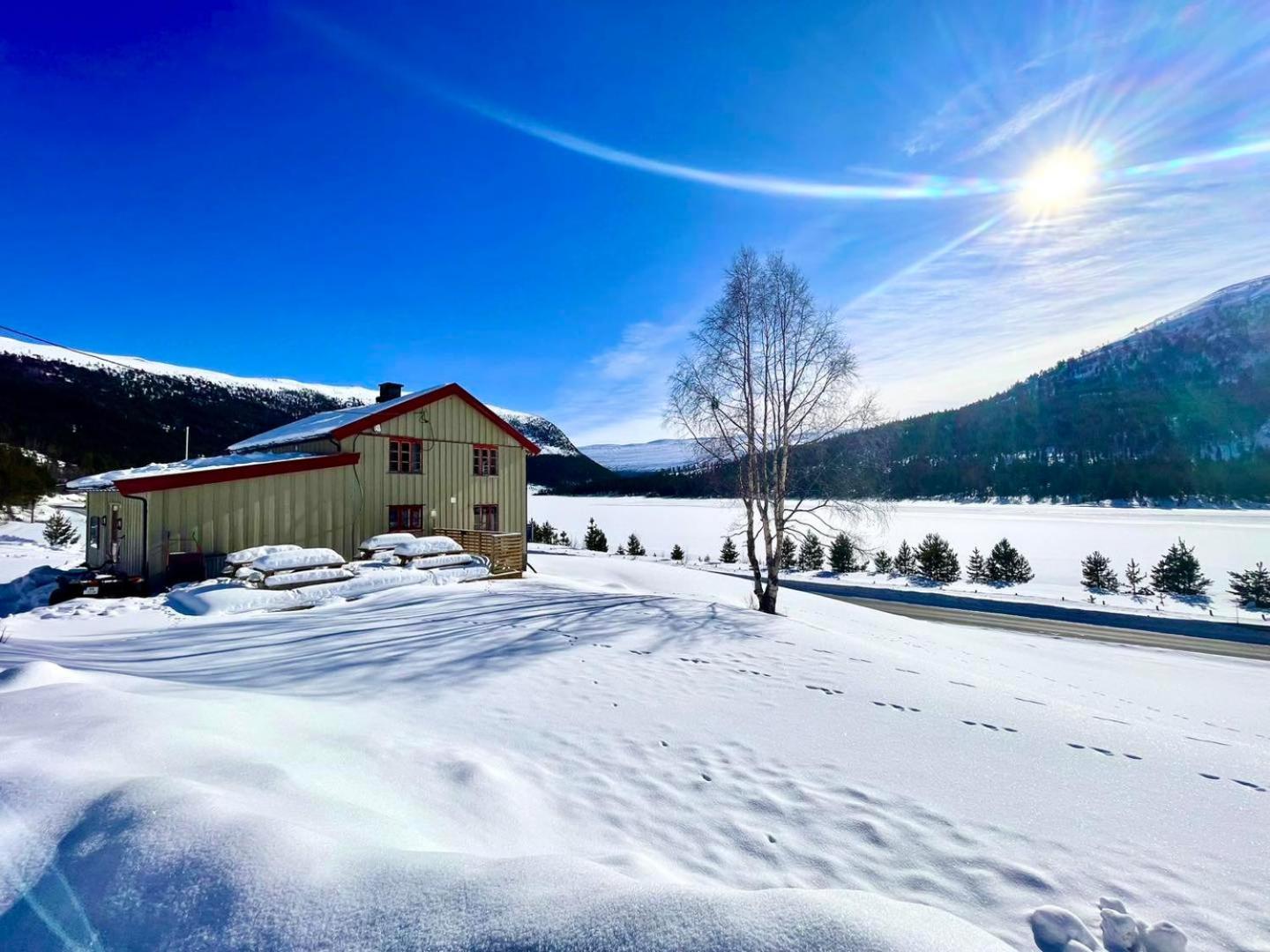 Photo 82