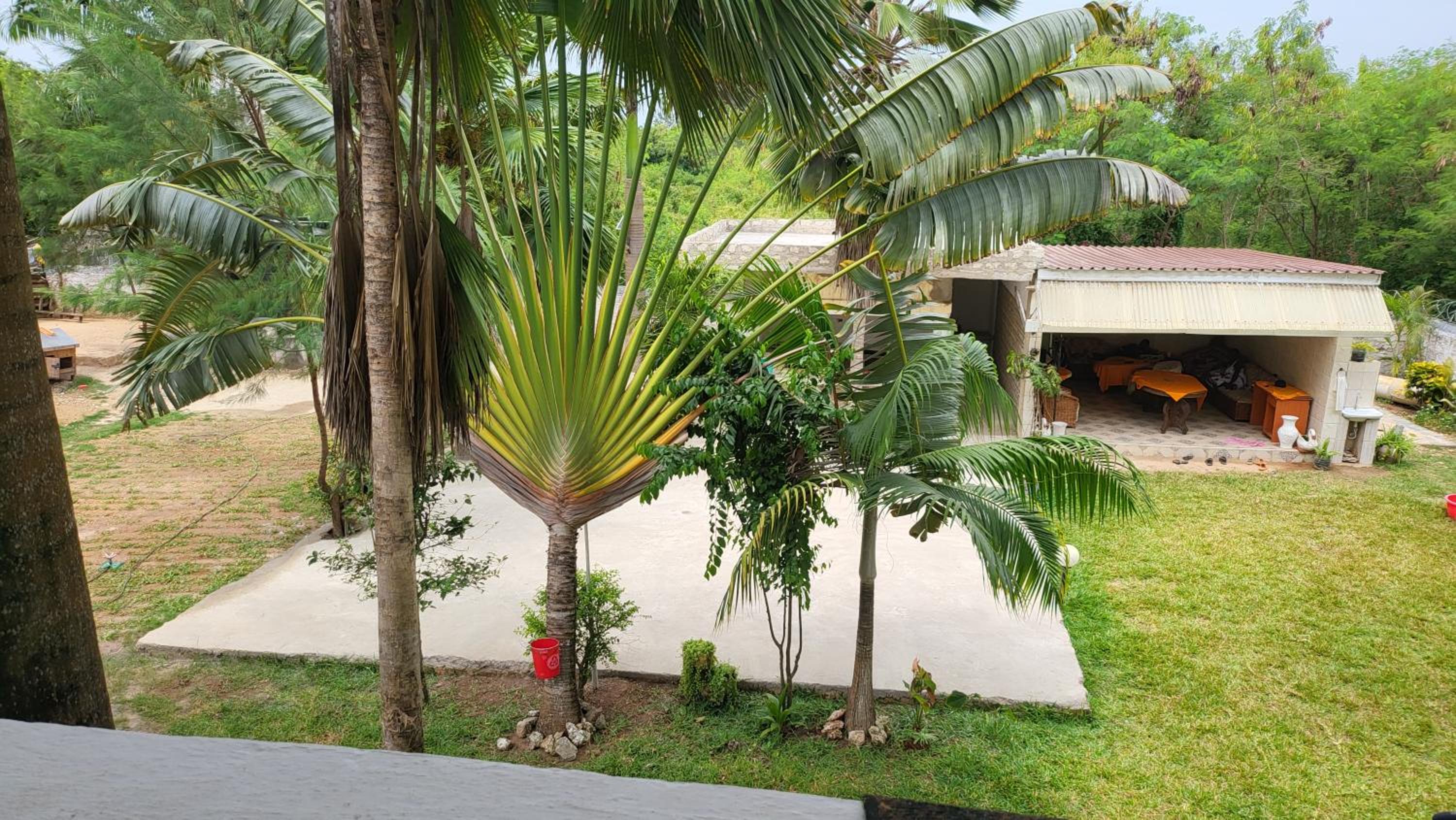 Photo 6