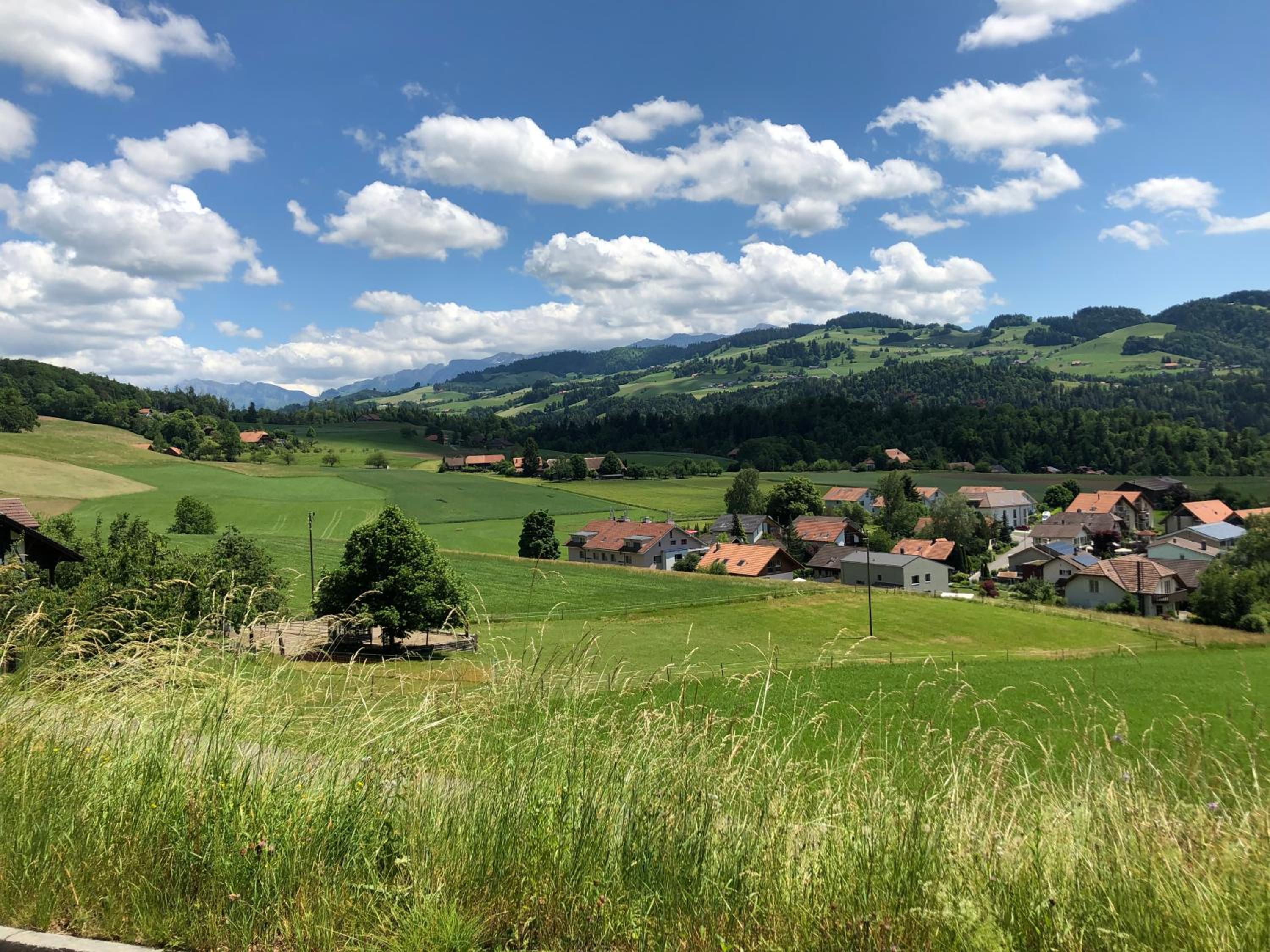Grosszügige Ferienwohnung zwischen Bern und Interlaken