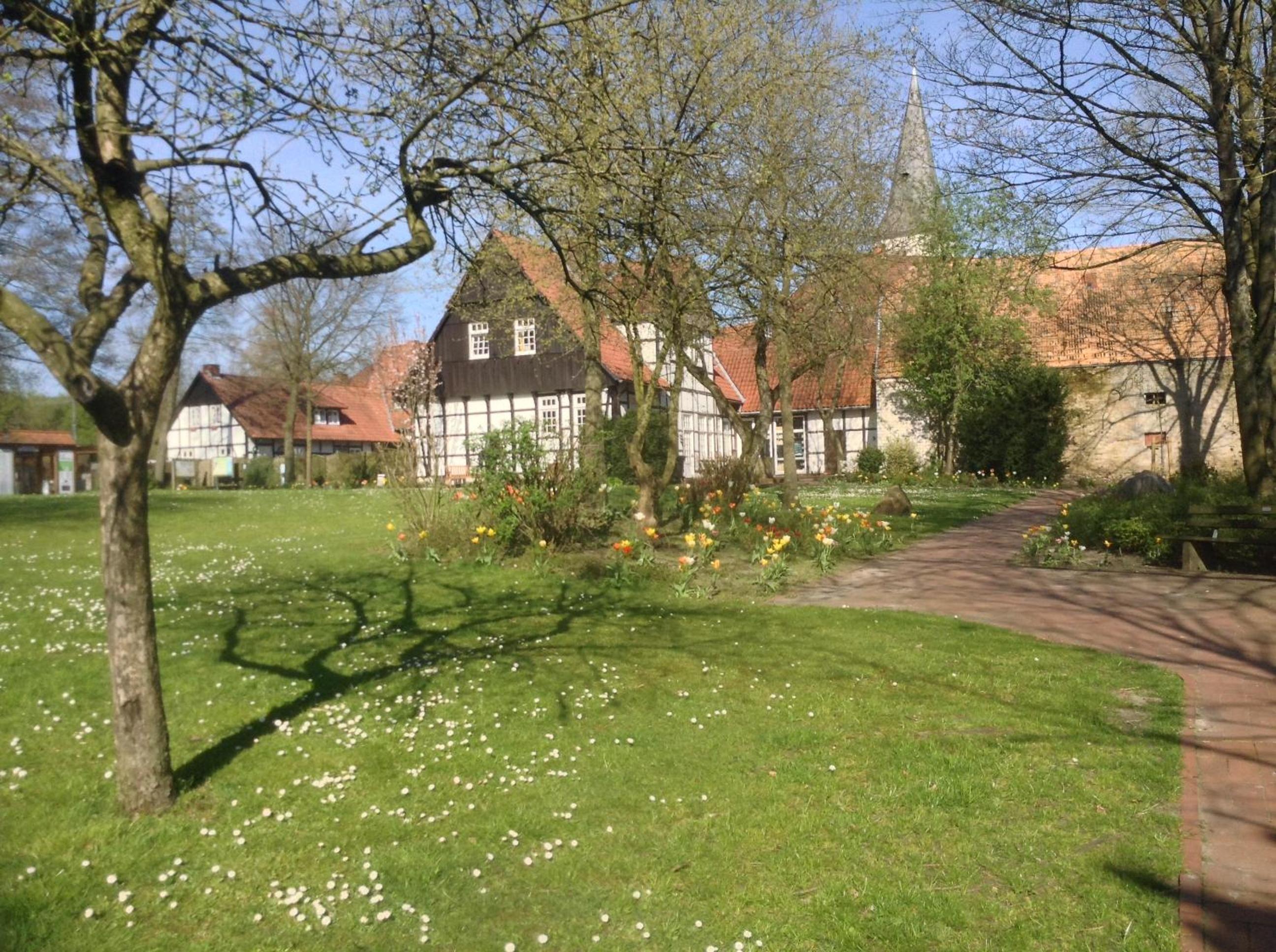 Photo 47
