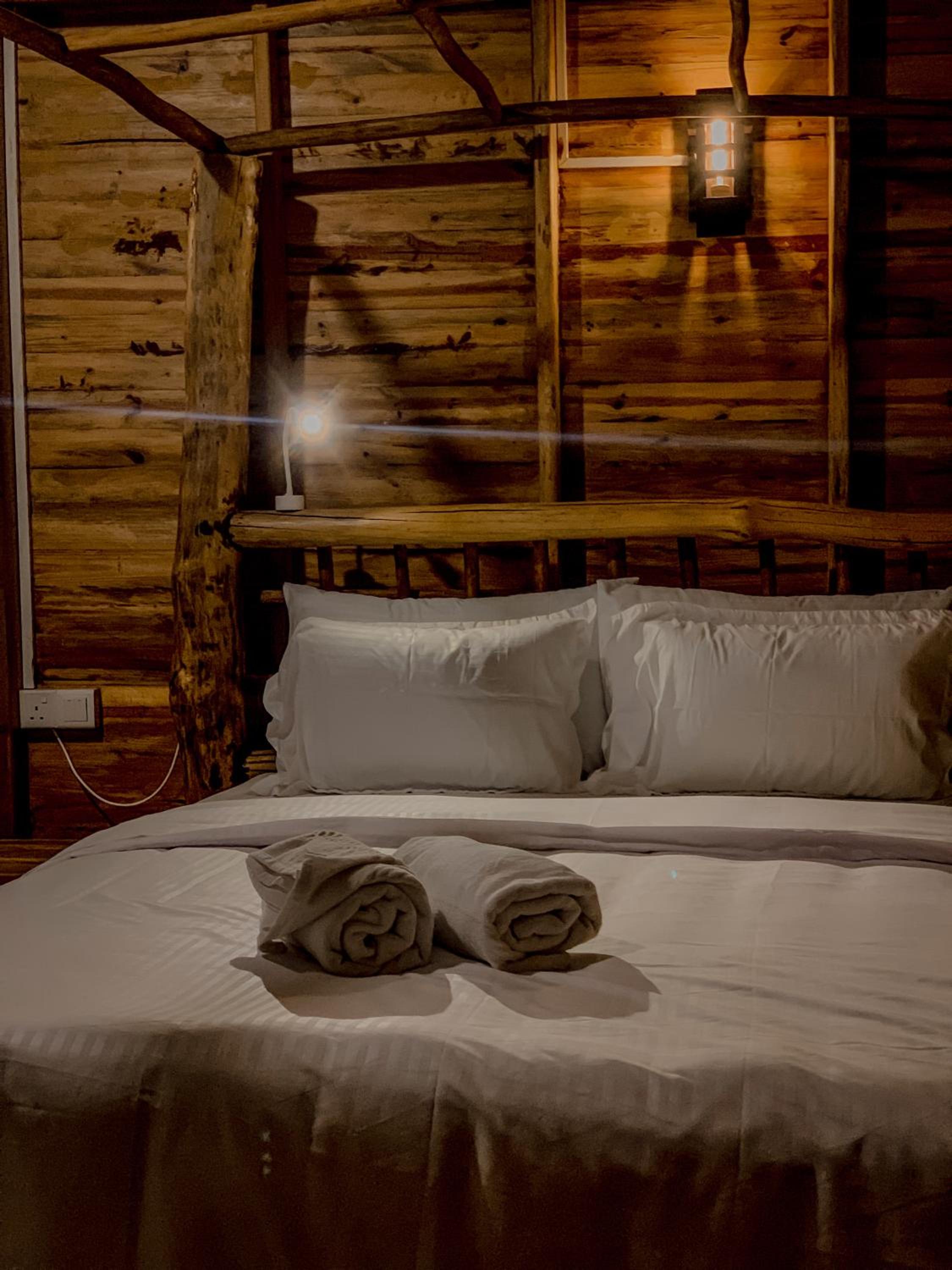 LAMIACEAE WOOD CABIN