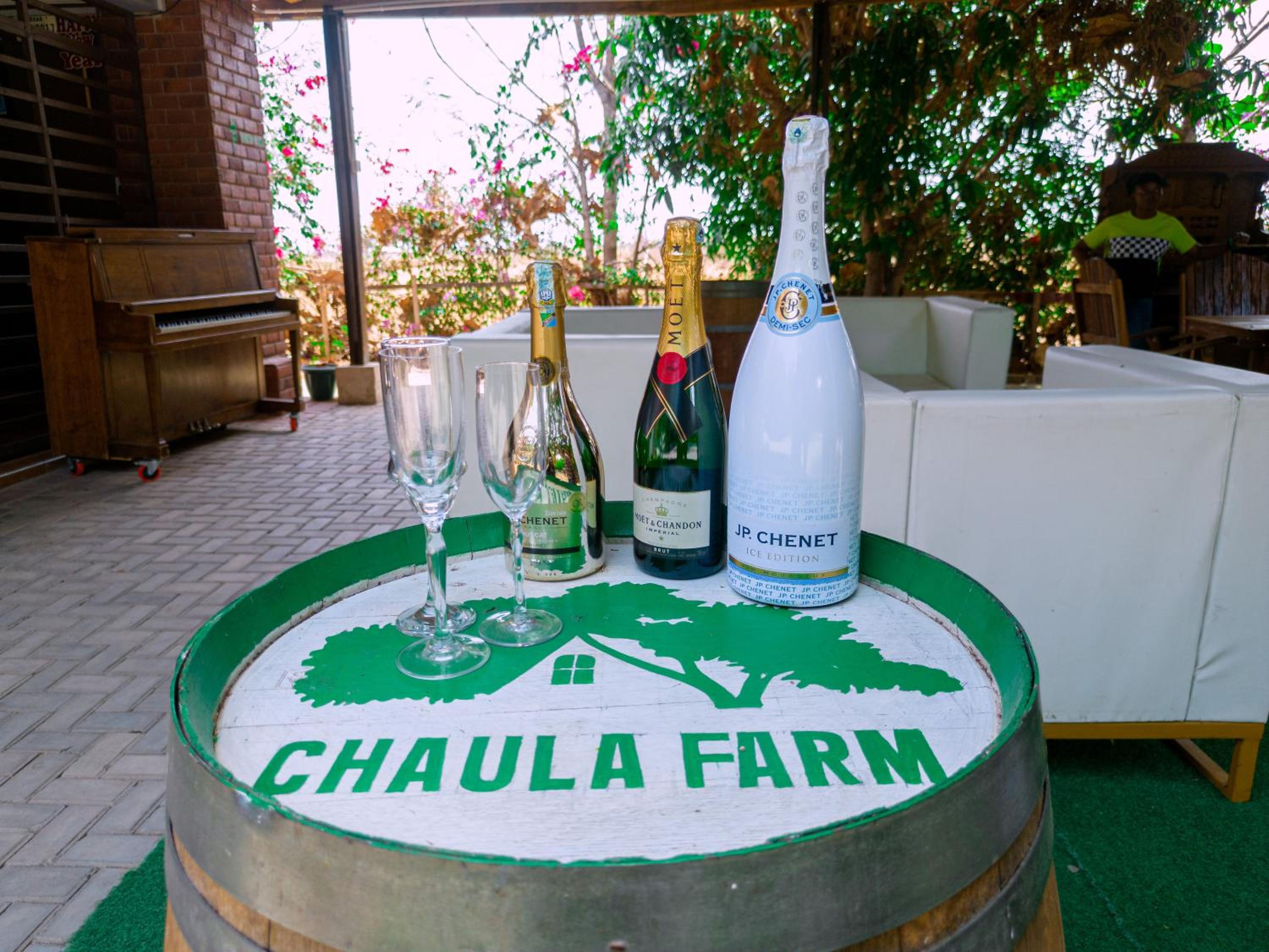 Chaula Farm view 2