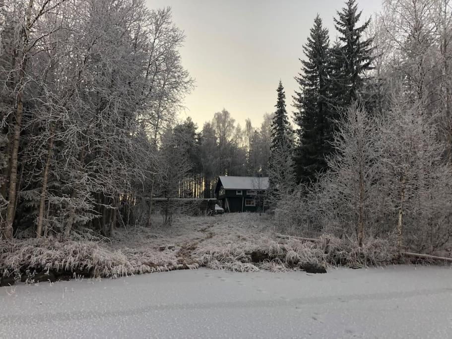 Lakeside Log Villa Edith