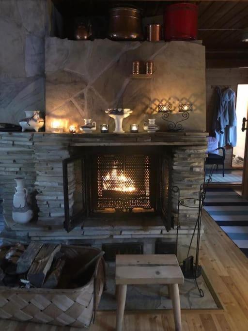 Lakeside Log Villa Edith