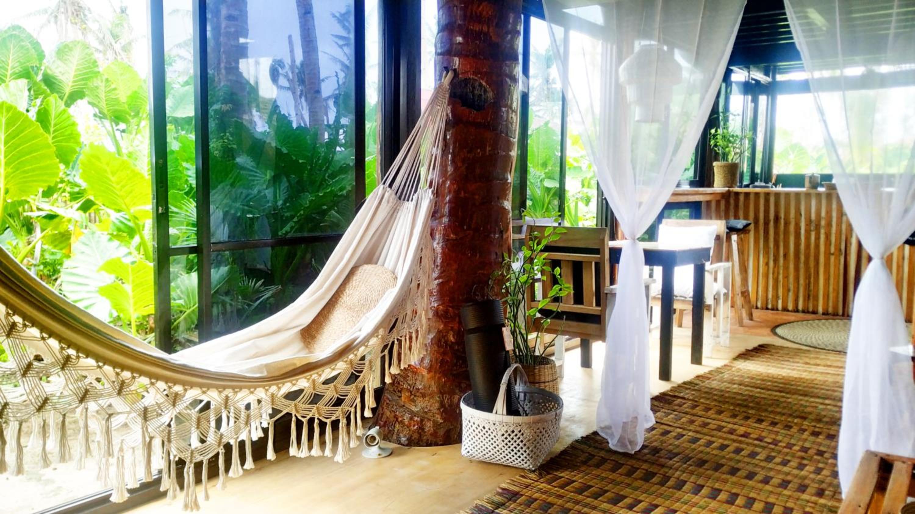 Tarzan's House view 4