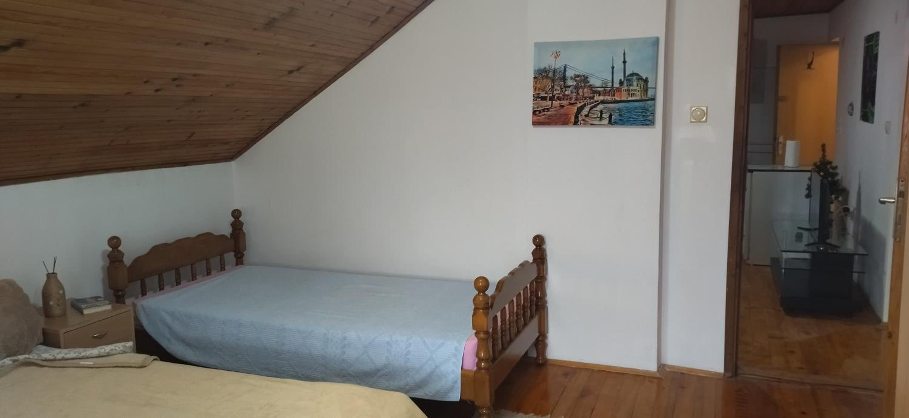 Vila Lenka Sokobanja view 5