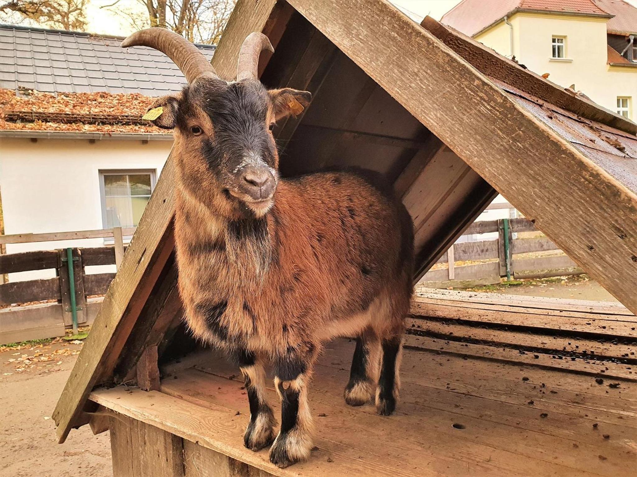Wohnwagen am Rittergut Dornreichenbach