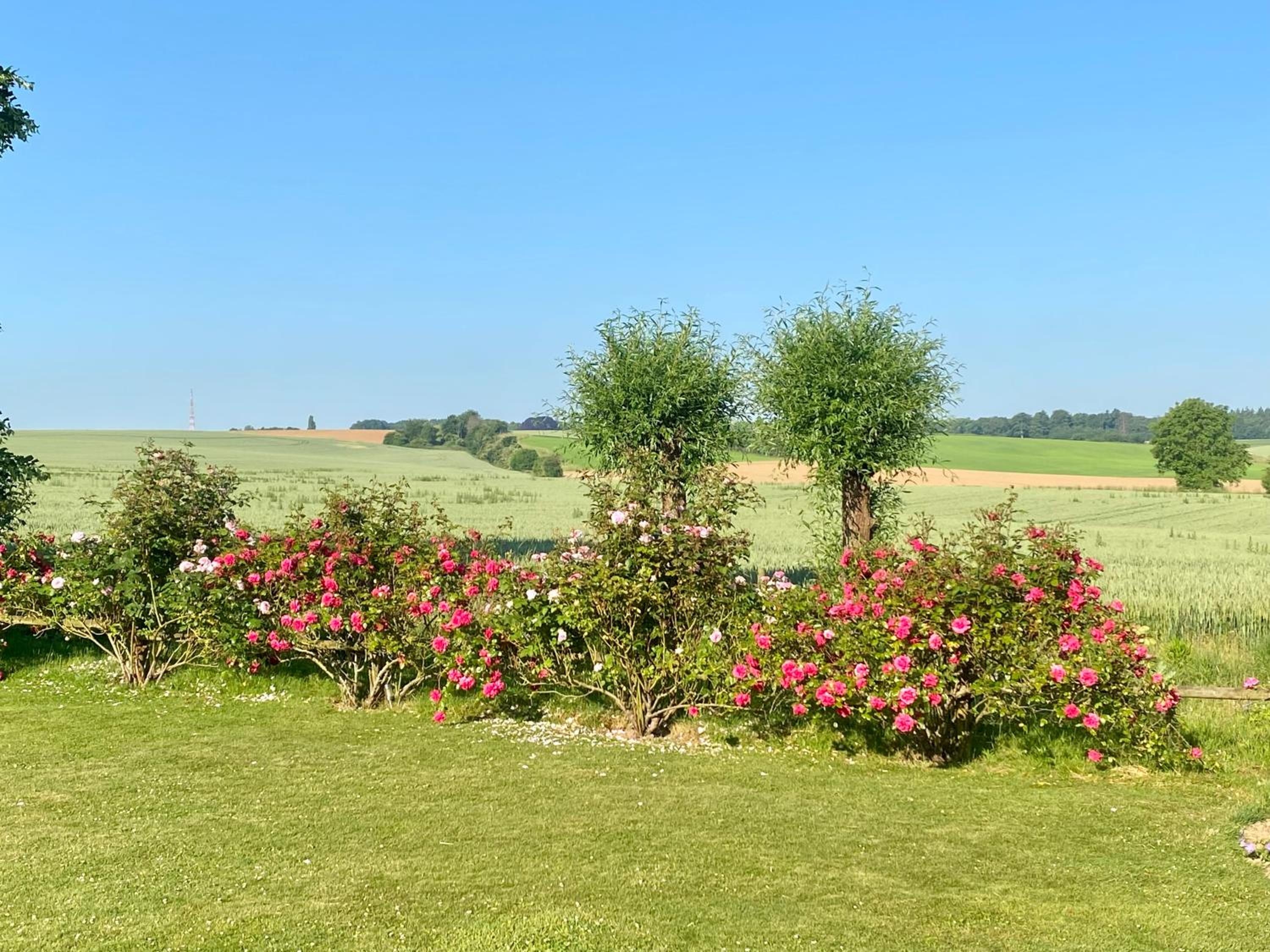 Marie campagne