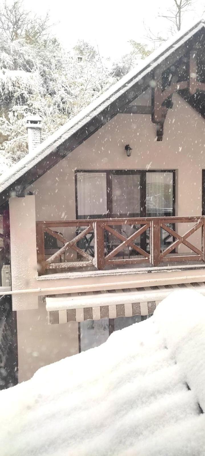 Casa cu nuferi view 3