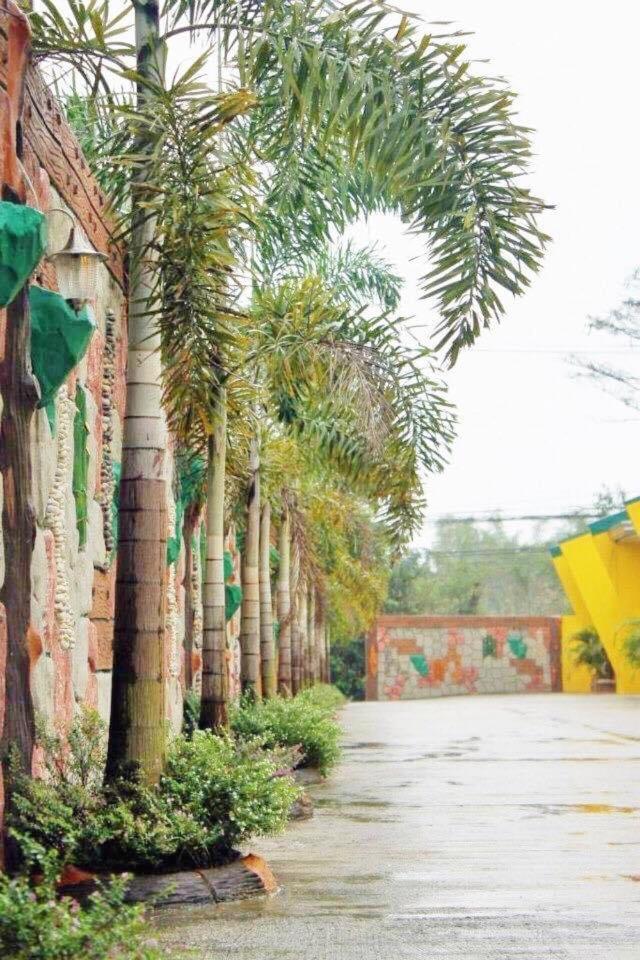 Dreaming Forest Hotel - Soro Soro, Batangas view 4