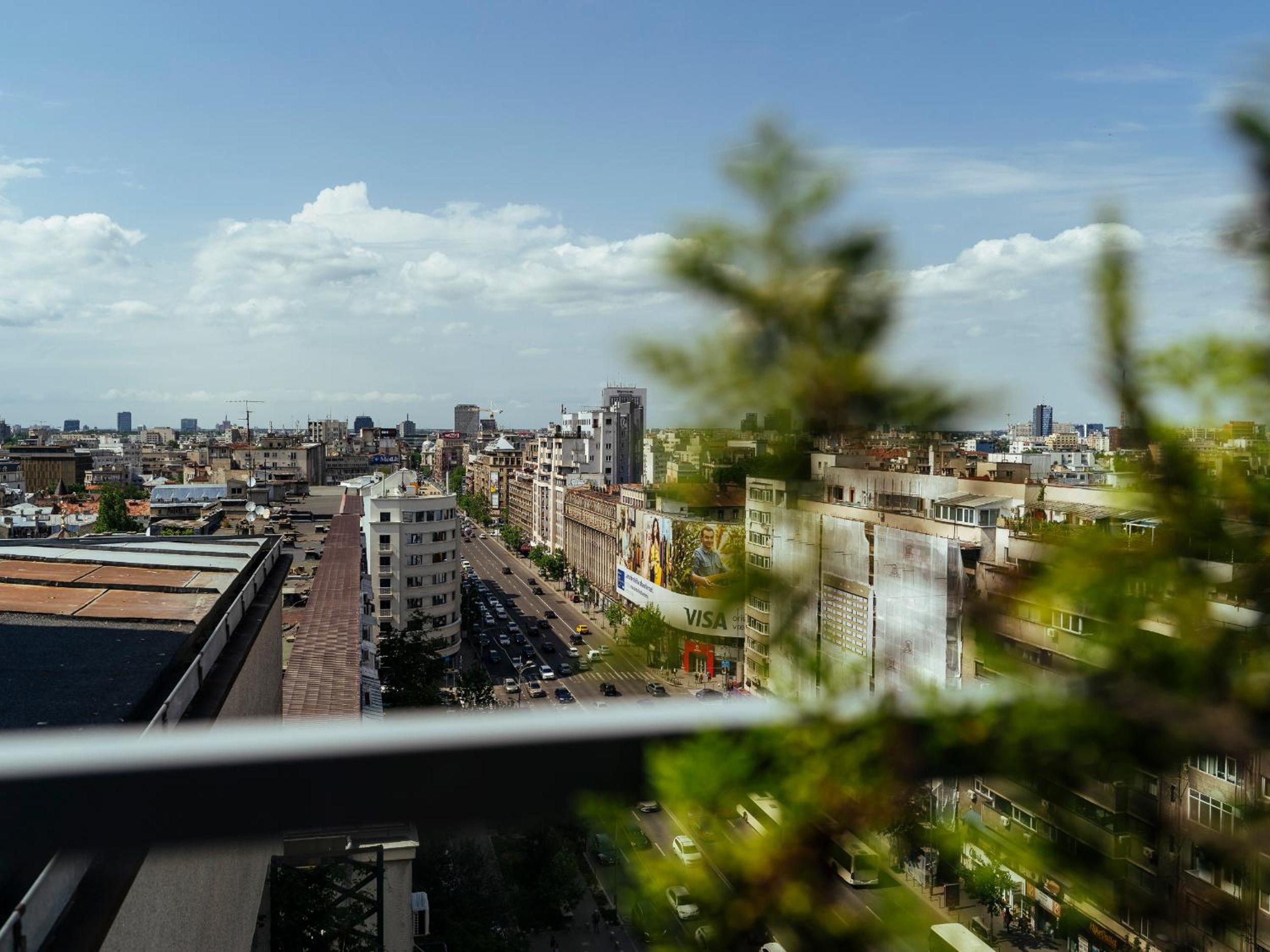 Wilson Old City Roof Top view 2