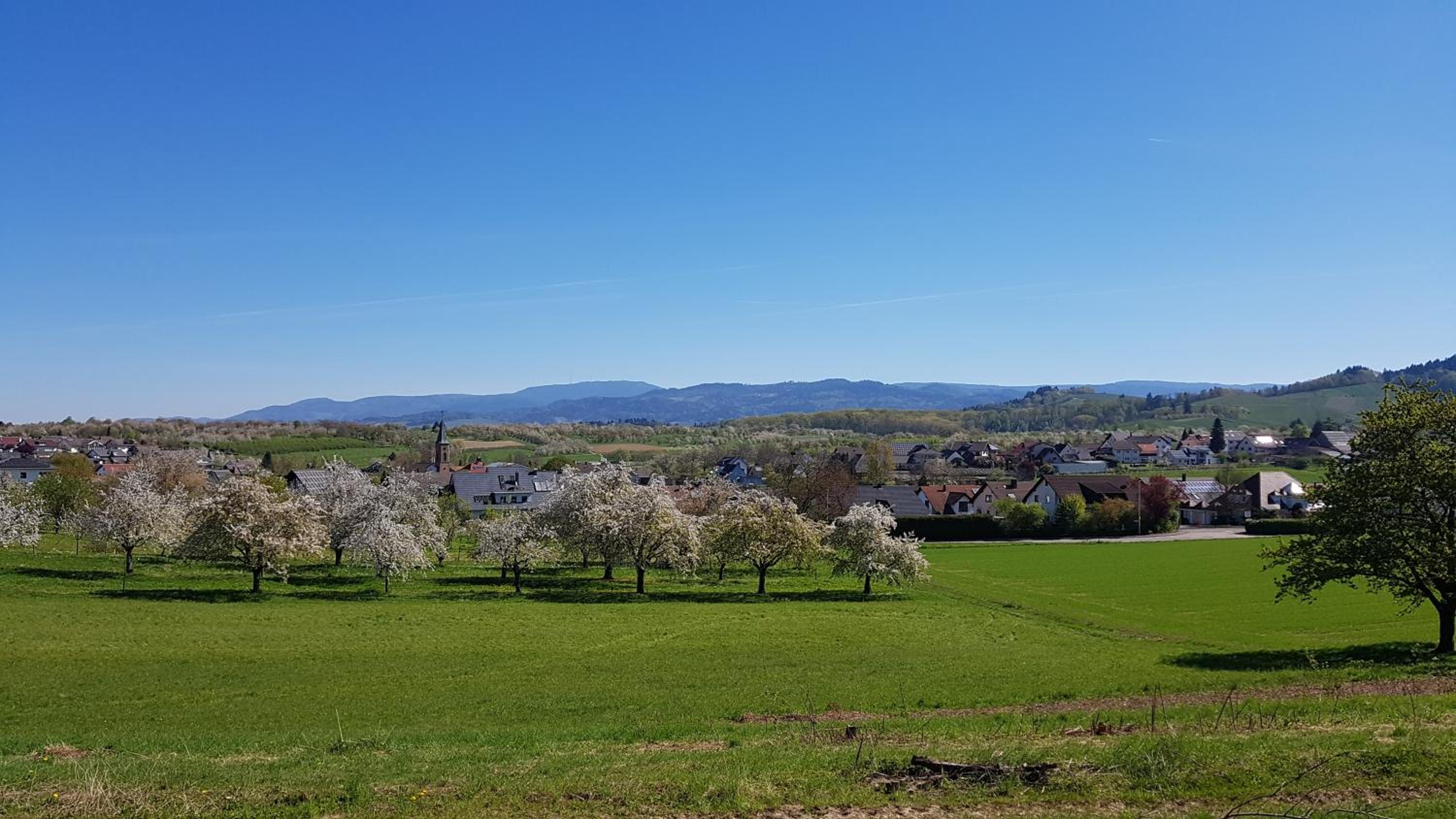 Sauers Schwarzwaldglück