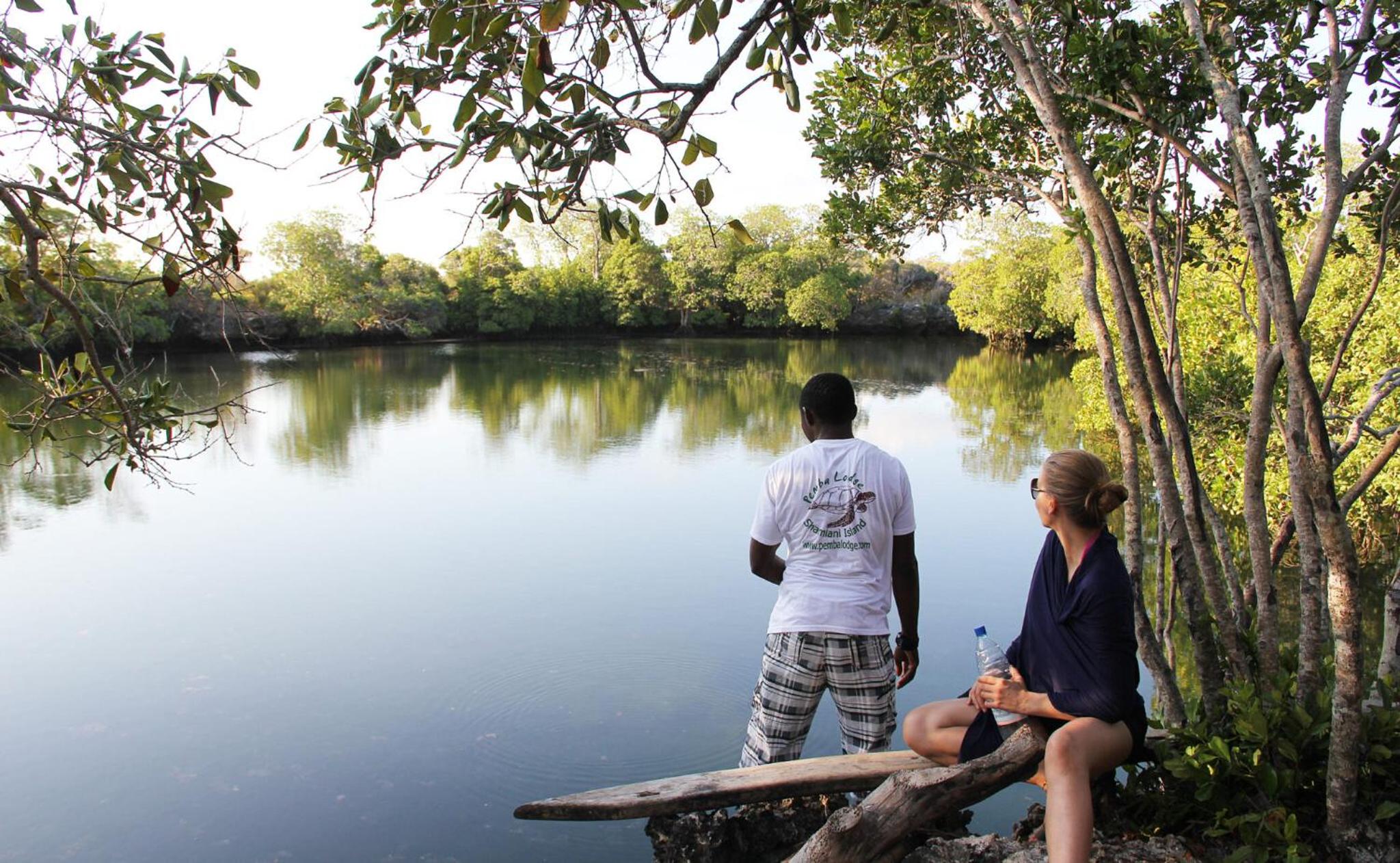 Pemba Eco Lodge