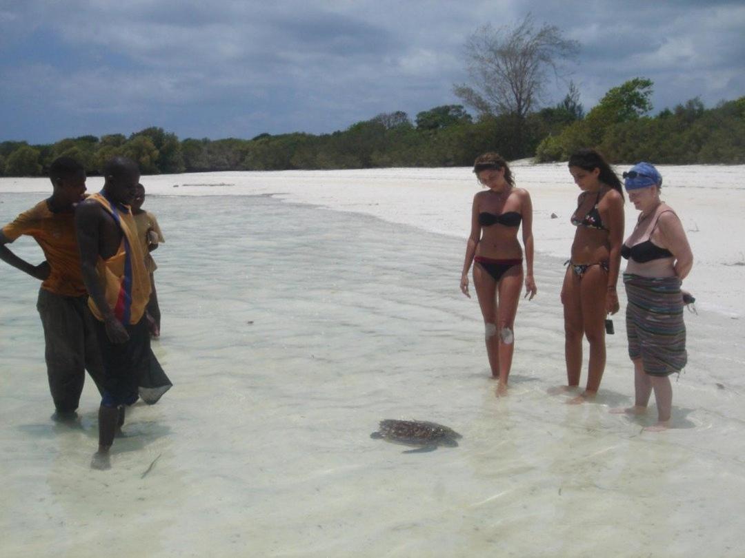 Pemba Eco Lodge