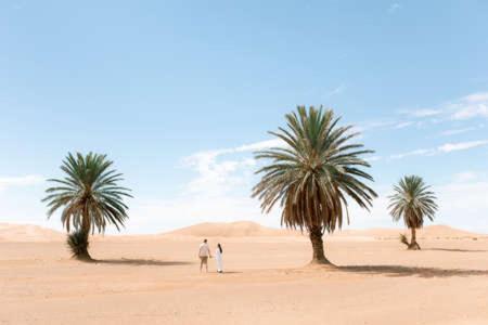 Camp Sahara Holidays view 3