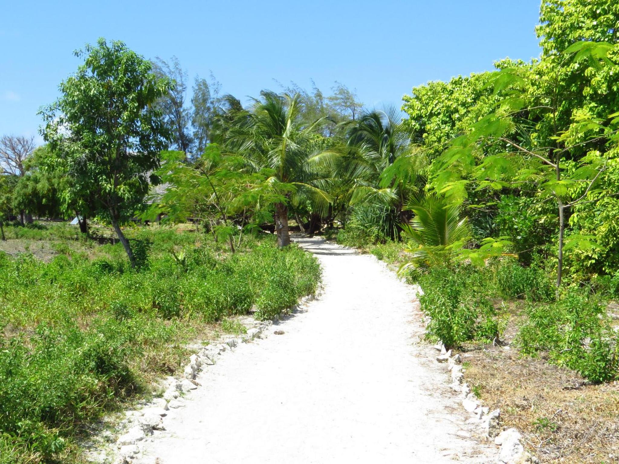 Pemba Eco Lodge