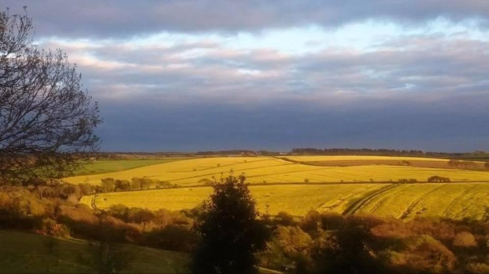 Newquay Cornwall Holiday Rental