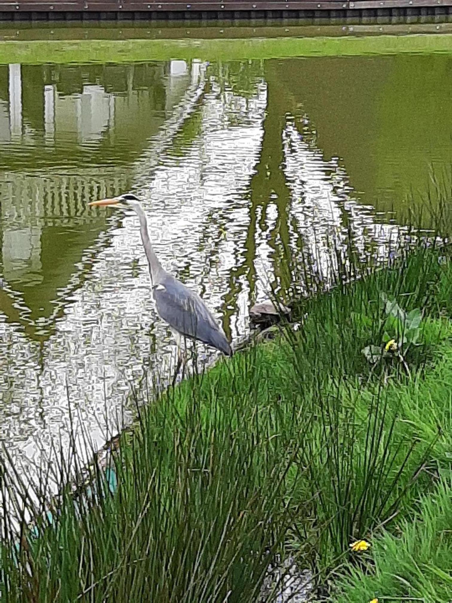 Stijlvol aan de visvijver