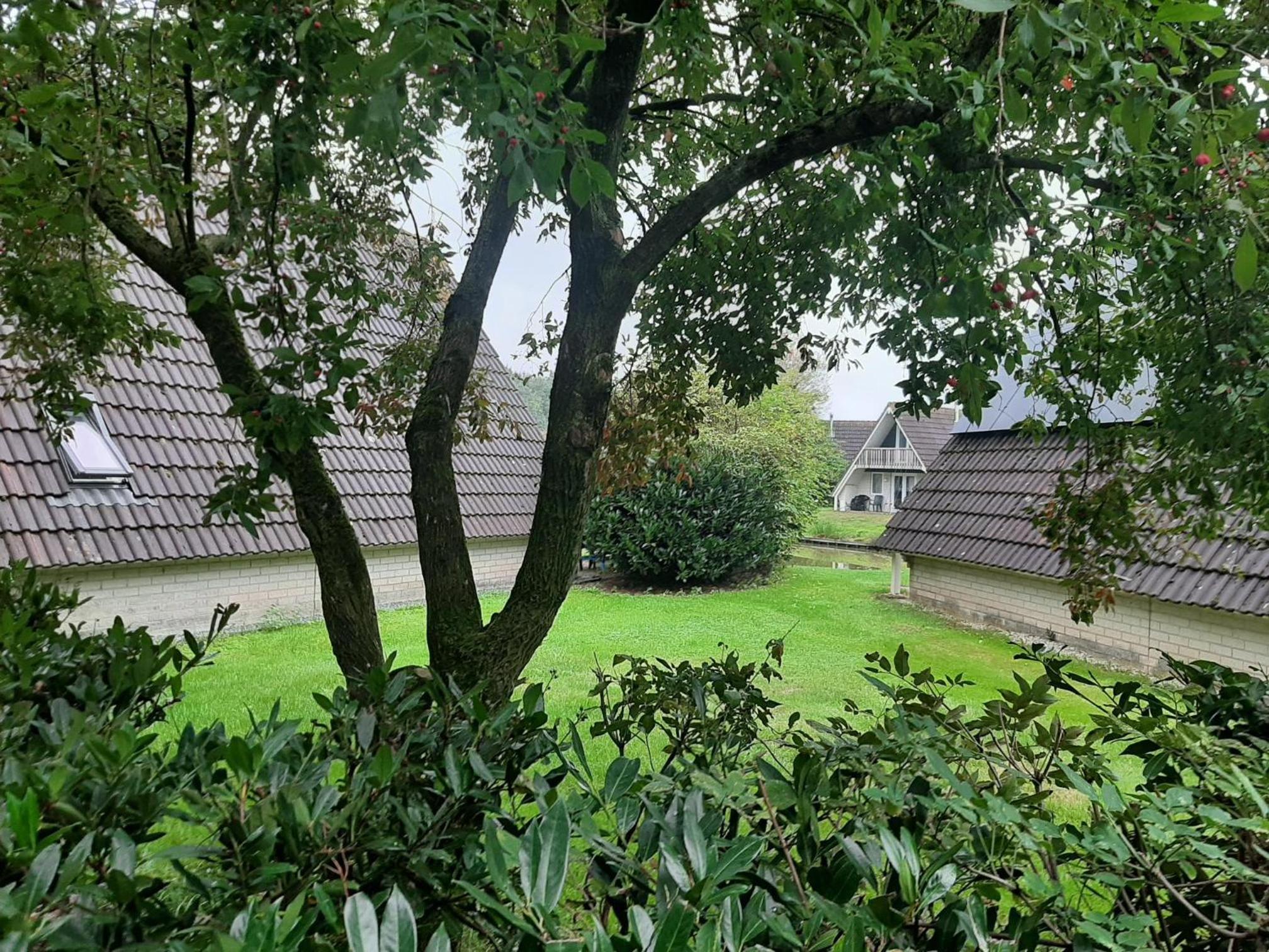 Stijlvol aan de visvijver