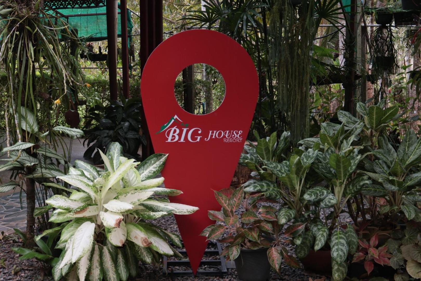 Big House Resort