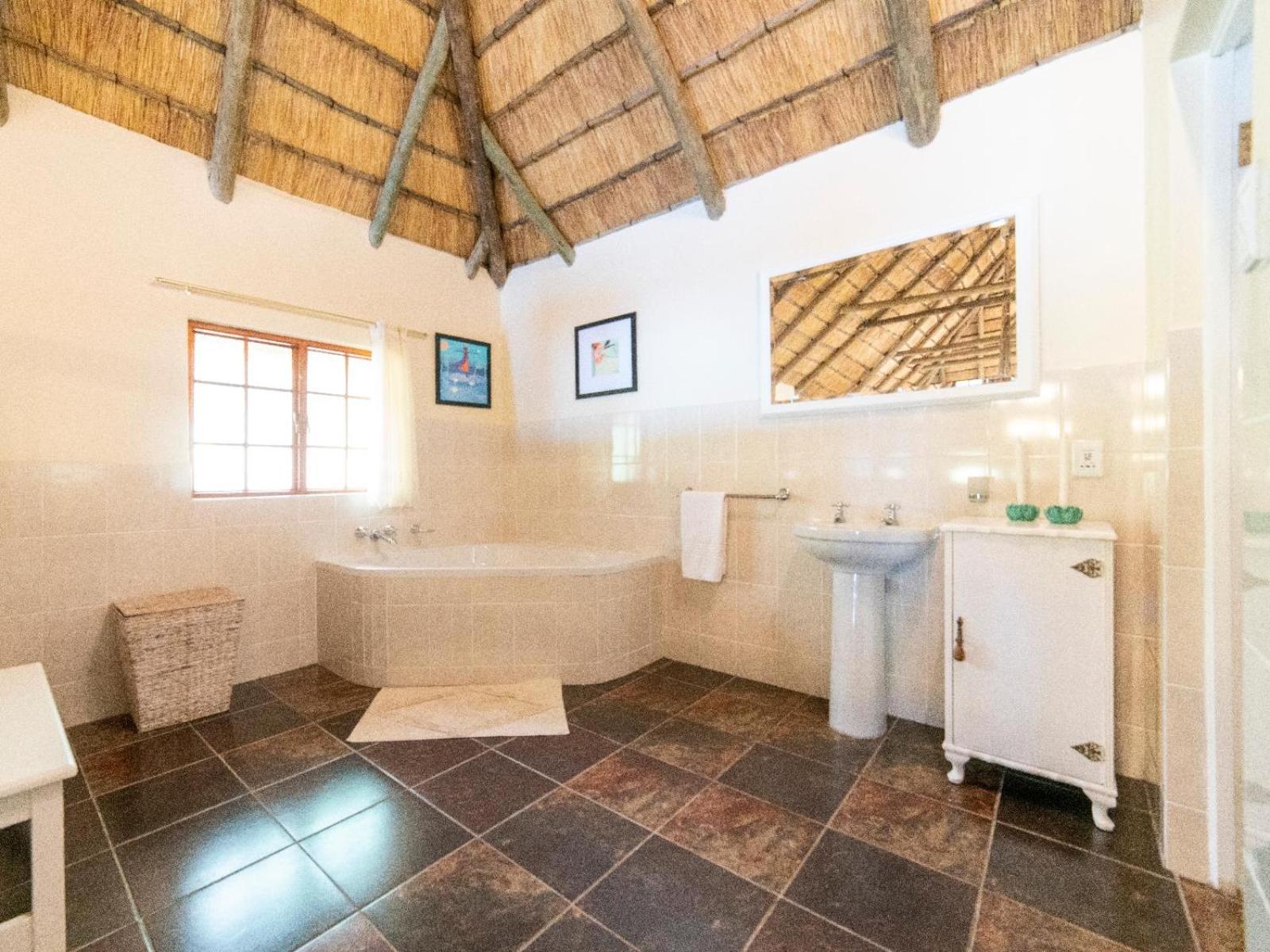 Photo 234